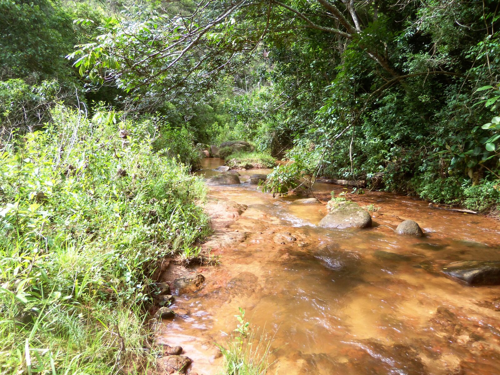 Kodak EASYSHARE CAMERA, M552 sample photo. Oja, water, stone photography