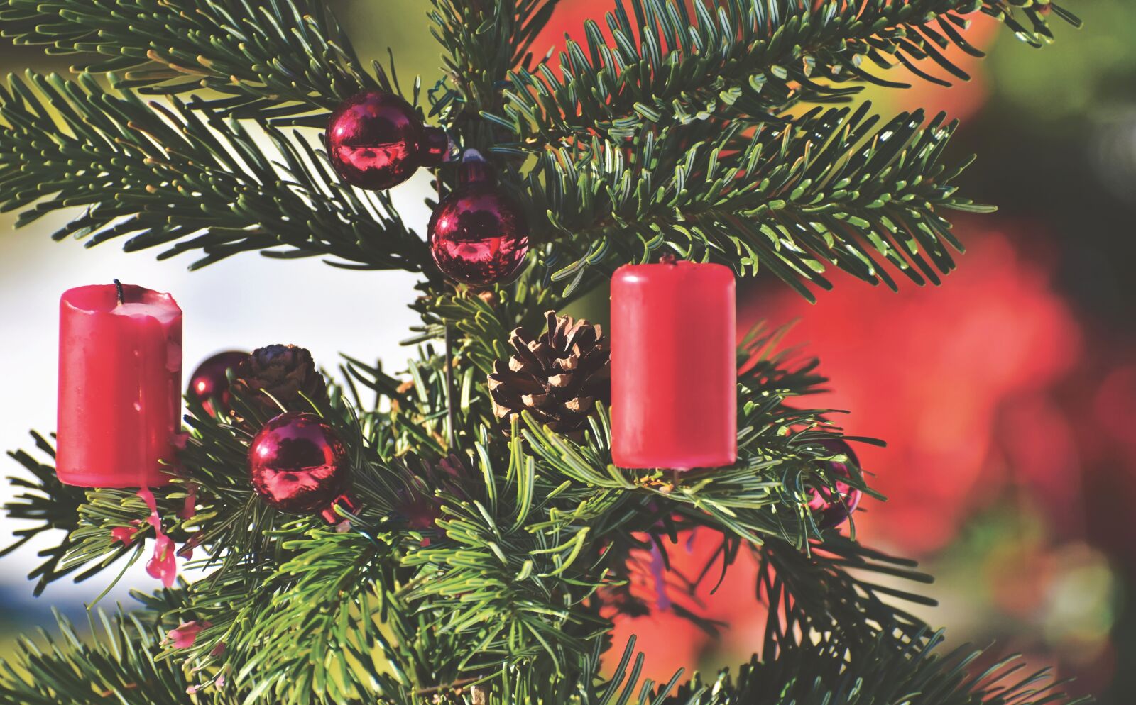 Nikon D7200 sample photo. Christmas tree, candles, christmas photography