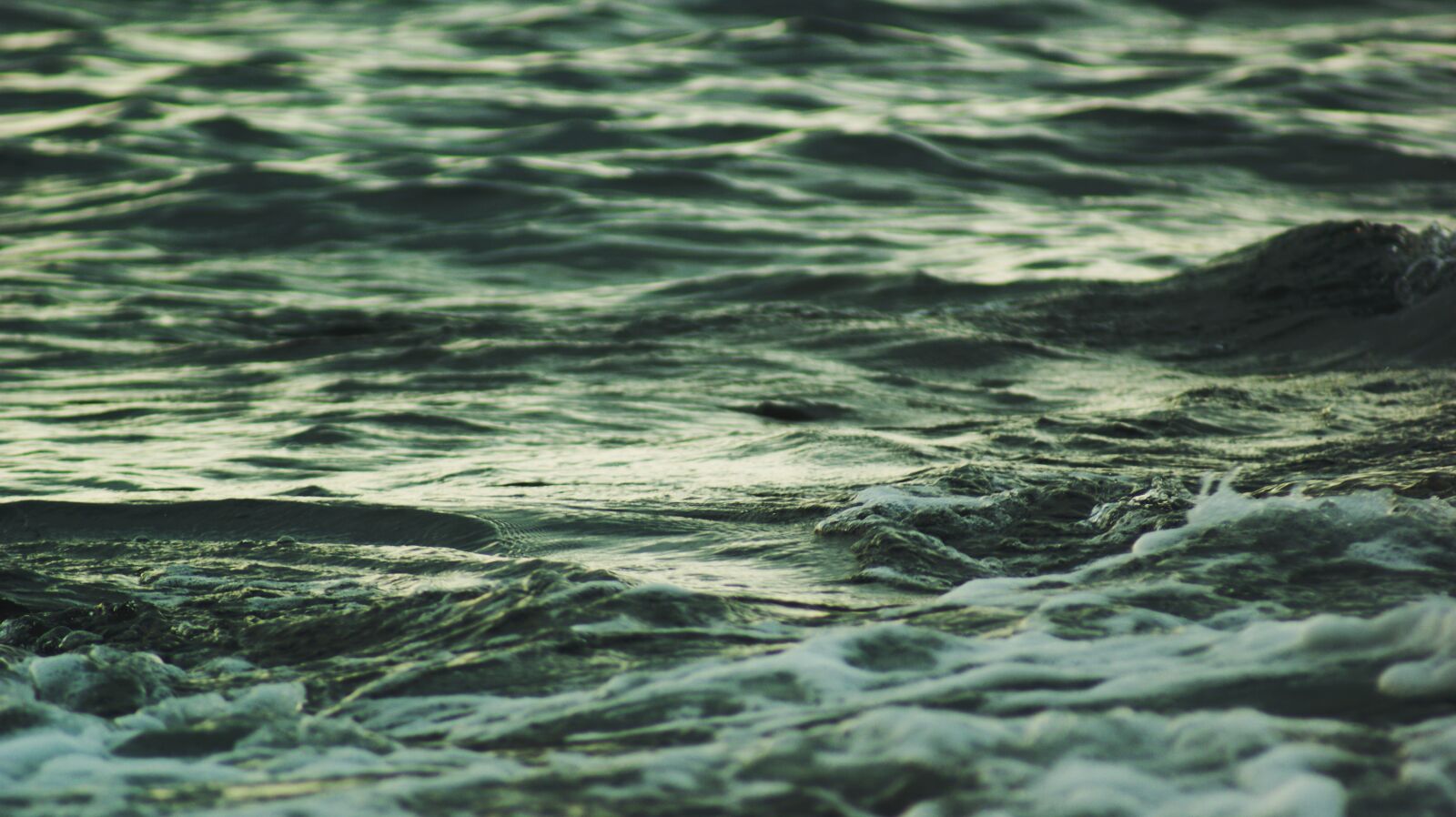 Sony Alpha DSLR-A350 sample photo. Ocean, beach, wave photography
