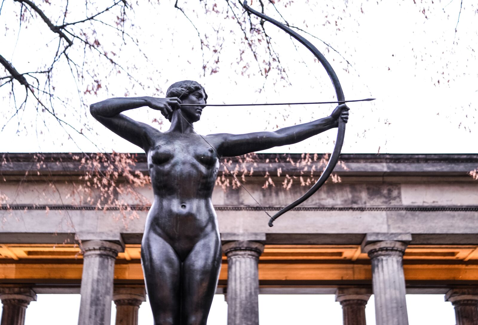 Nikon D610 sample photo. Archer, human, warrior photography