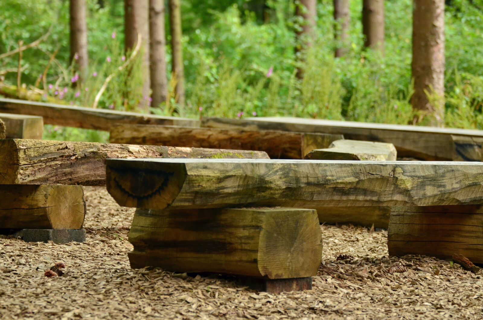 Nikon D5100 sample photo. Seat, wooden bench, forest photography