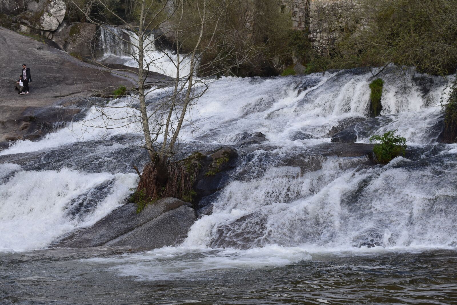 Nikon D5600 sample photo. Water, river, current photography
