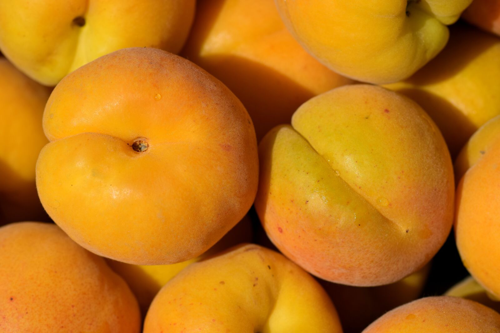 Nikon D3300 sample photo. Apricots, fruit, sweet photography