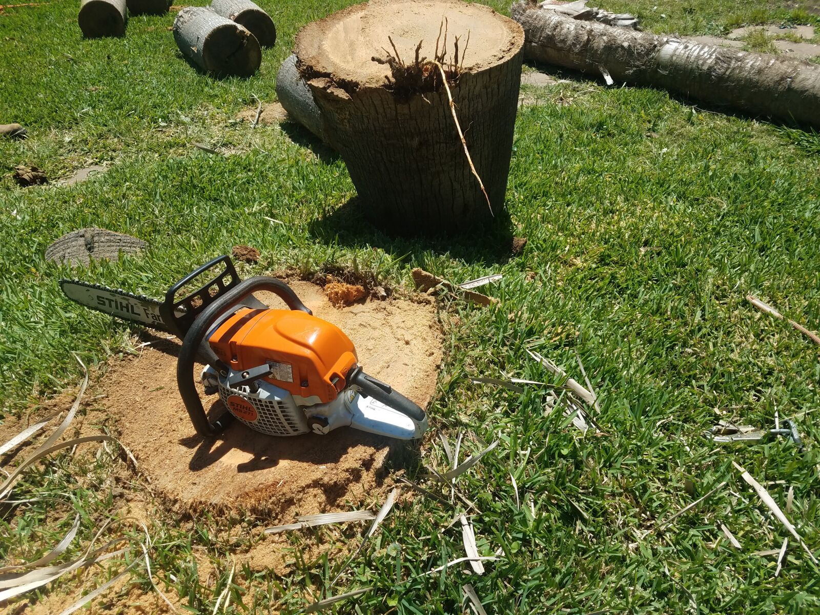 Samsung Galaxy S7 Edge sample photo. Stihl, chainsaw, saw photography