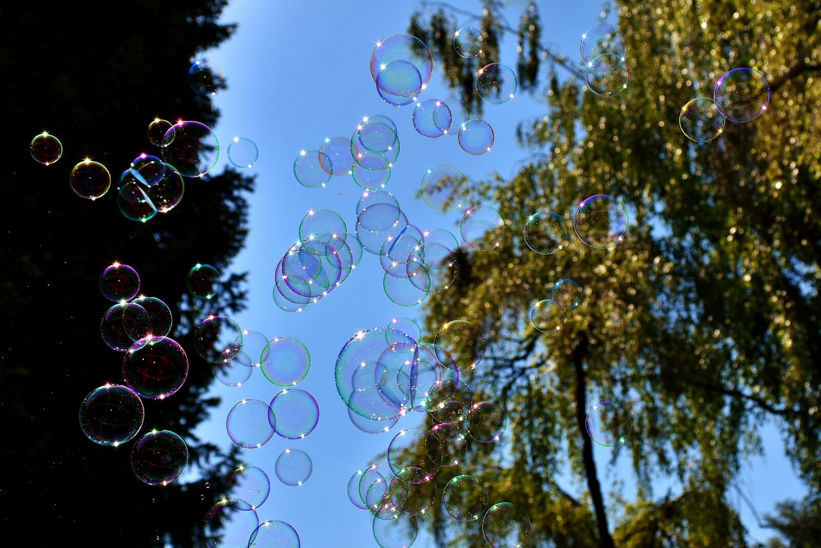Nikon D7200 sample photo. Soap bubbles, colorful, flying photography