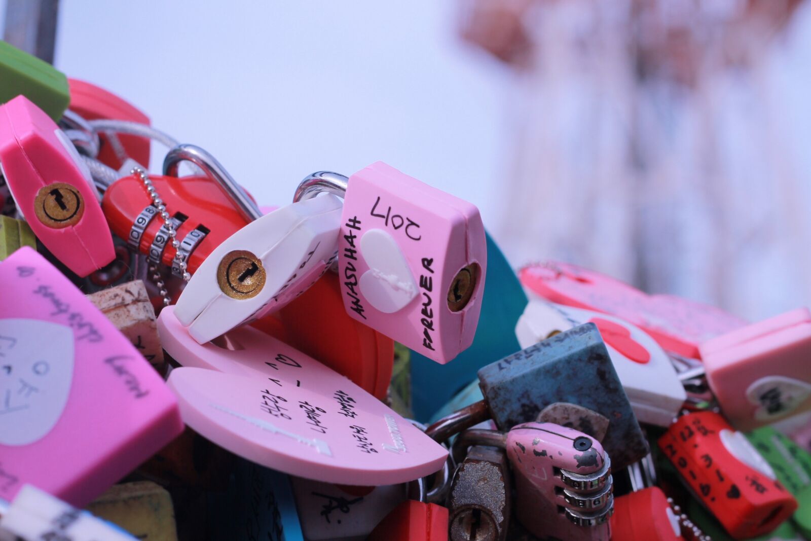 Canon EOS 1100D (EOS Rebel T3 / EOS Kiss X50) + Canon EF 50mm F1.8 II sample photo. Padlock, colors, messages photography