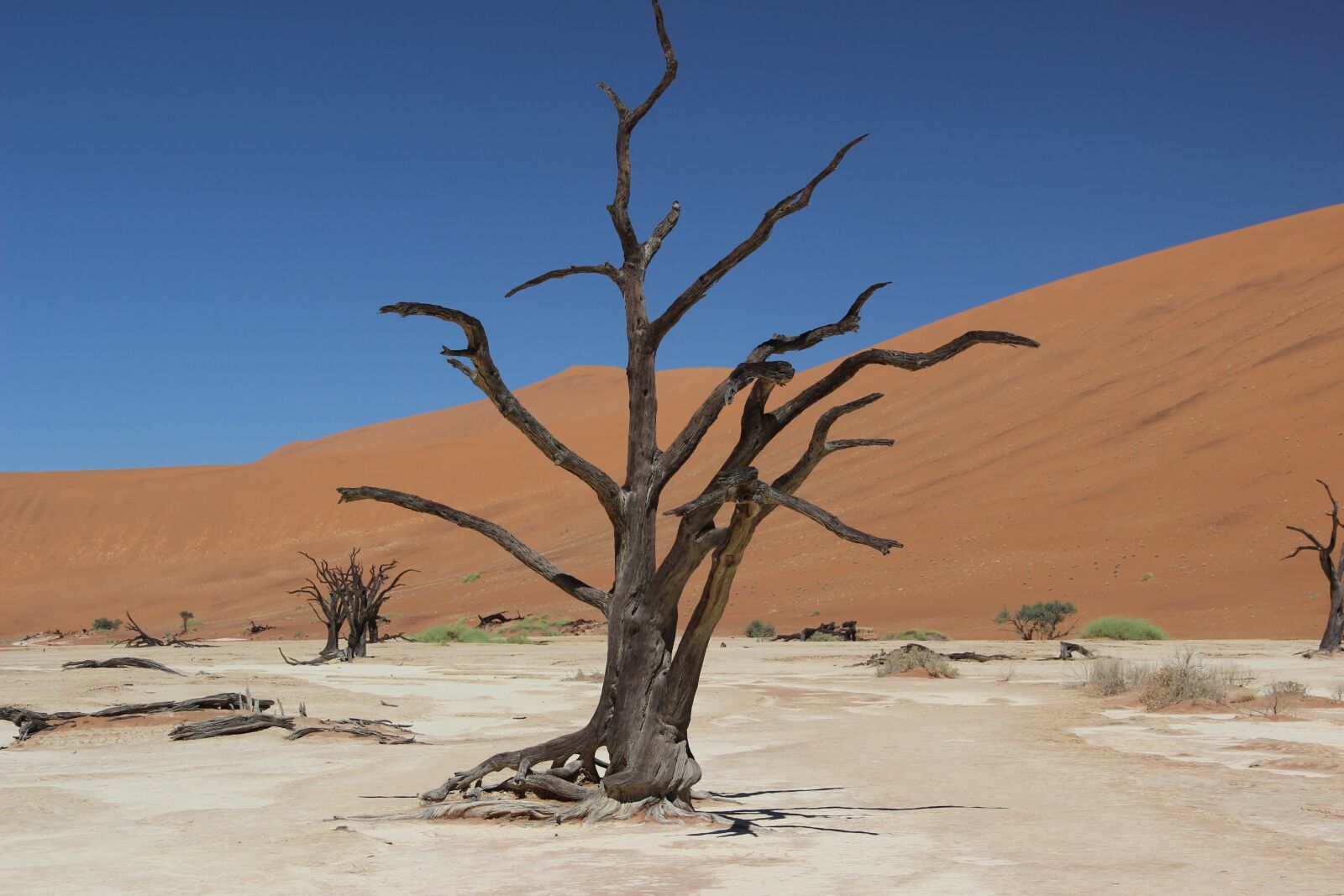 Canon EOS 600D (Rebel EOS T3i / EOS Kiss X5) sample photo. Namibia, desert, sand photography
