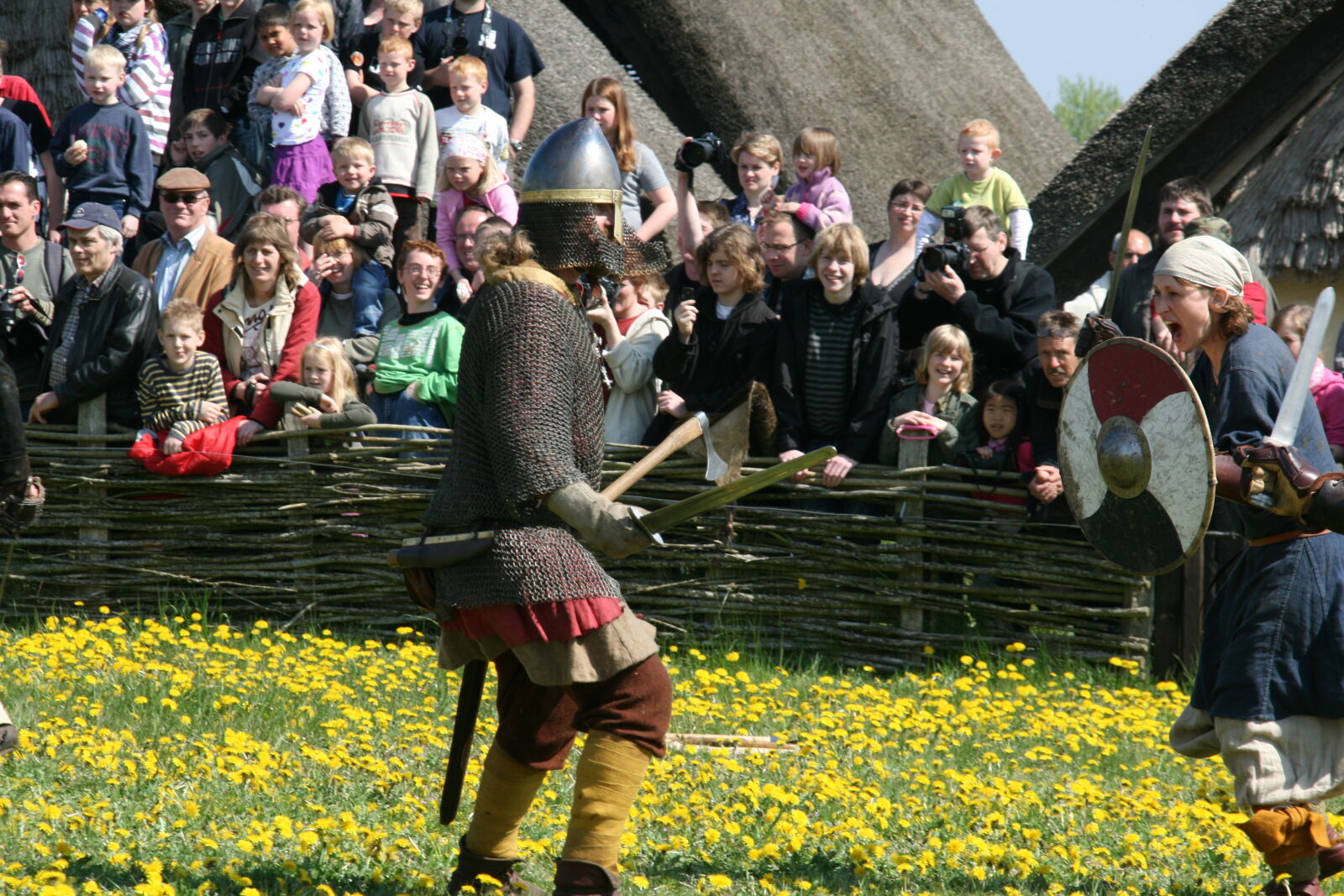Sigma 18-200mm f/3.5-6.3 DC OS sample photo. Vikings photography