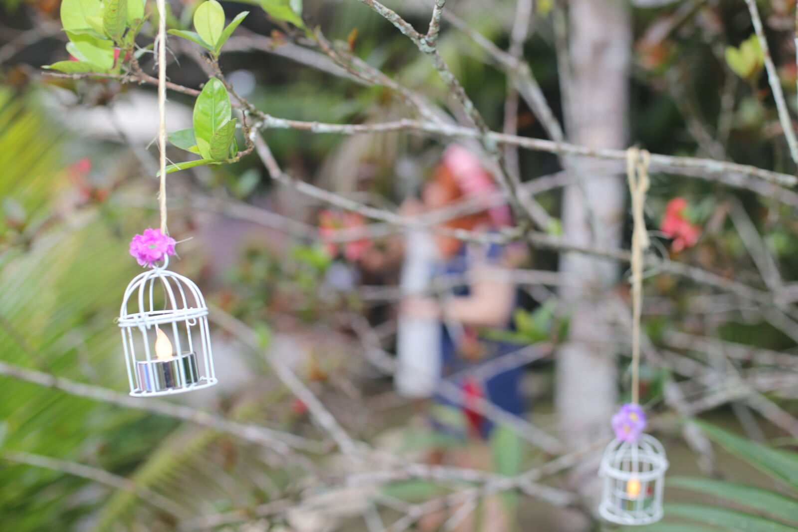 Canon EOS 6D + Canon EF 50mm F1.4 USM sample photo