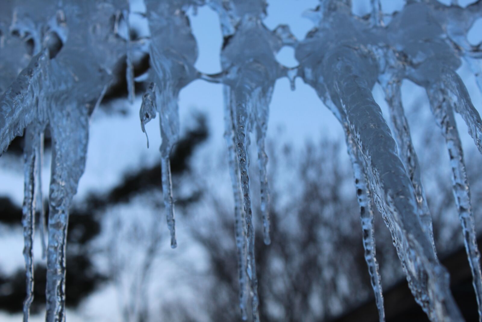 Canon EOS 1200D (EOS Rebel T5 / EOS Kiss X70 / EOS Hi) sample photo. Icicles, winter, cold photography