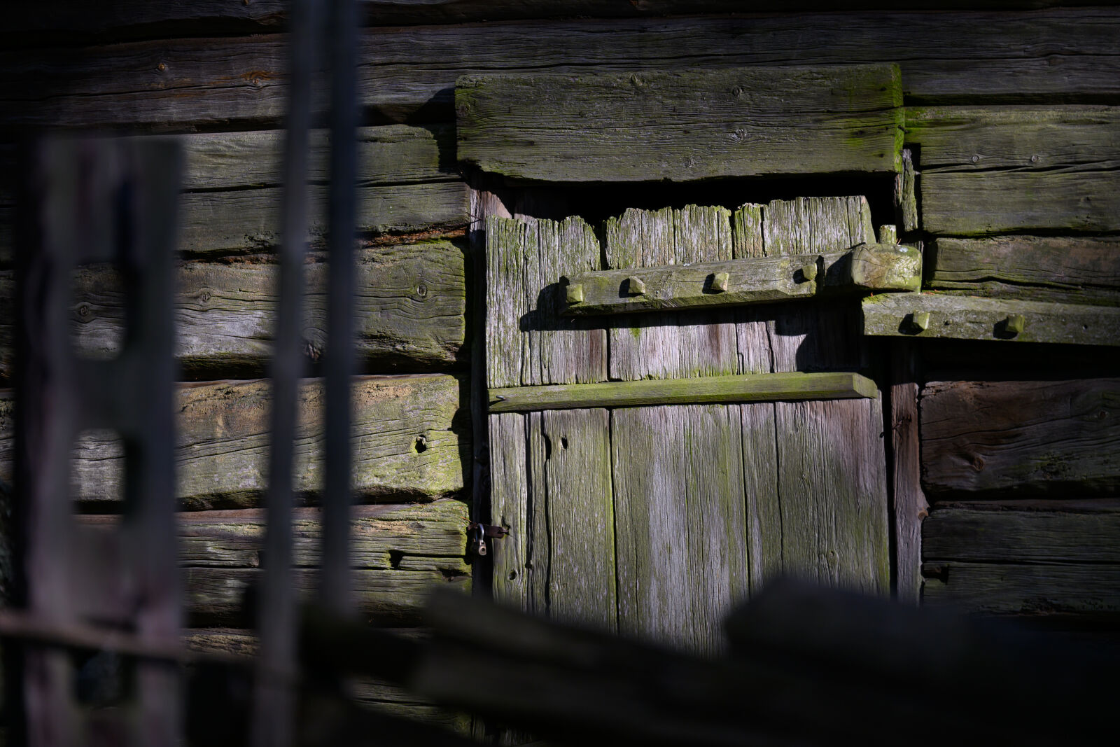 Nikon Z9 sample photo. Wooden door sunshine photography