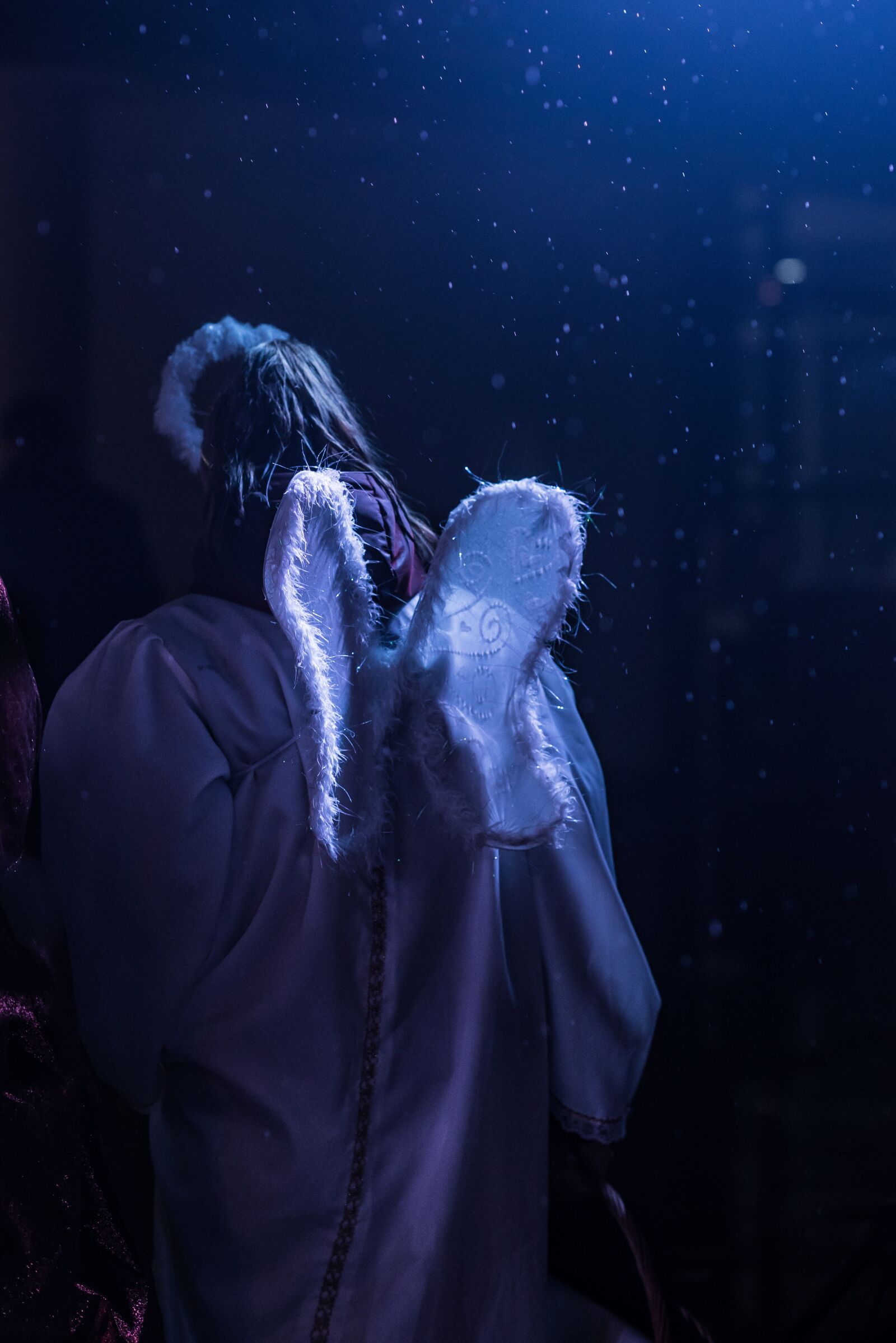 Nikon D750 sample photo. Angel, wings, night photography
