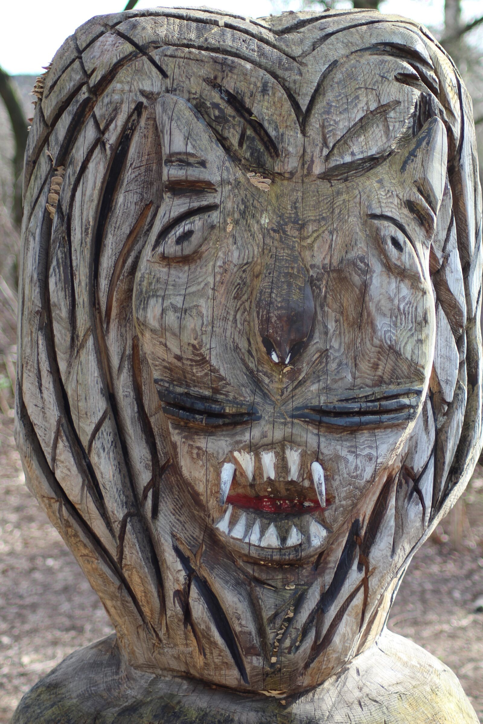 Canon EOS 700D (EOS Rebel T5i / EOS Kiss X7i) sample photo. Sculpture, carved, wood photography