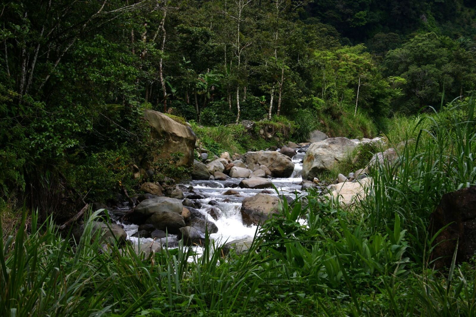 Canon EOS 300D (EOS Digital Rebel / EOS Kiss Digital) sample photo. Stream, river, water photography