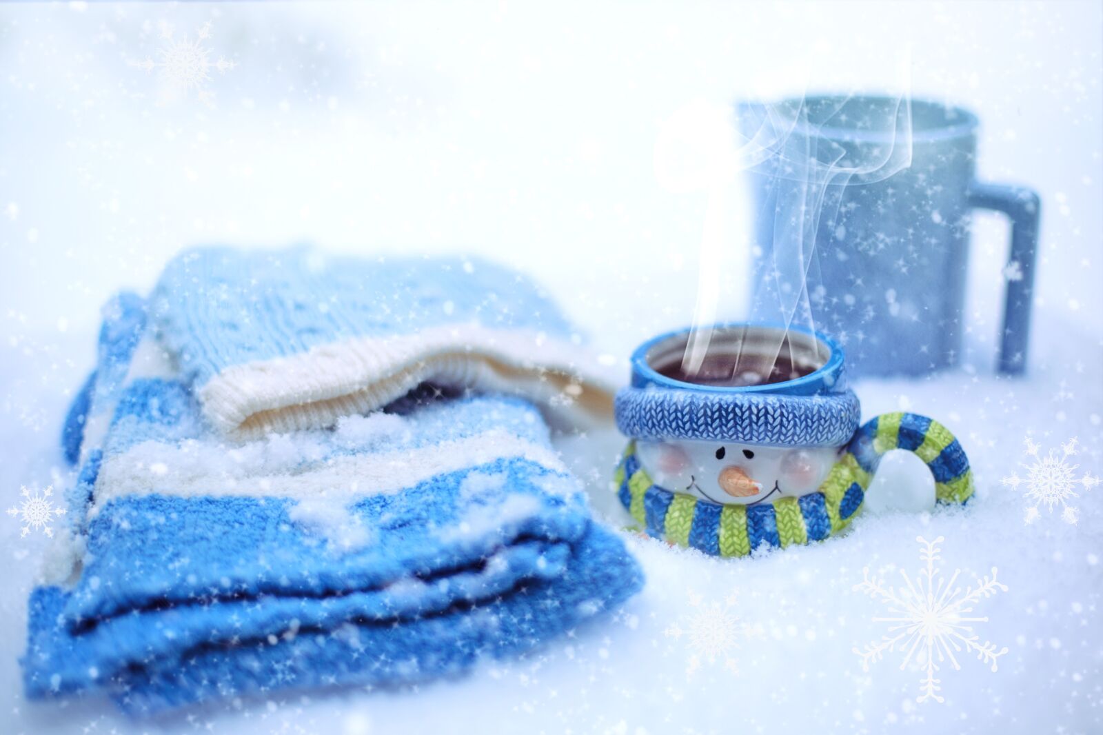 Canon EF 50mm F1.4 USM sample photo. Winter, snowy, snow photography