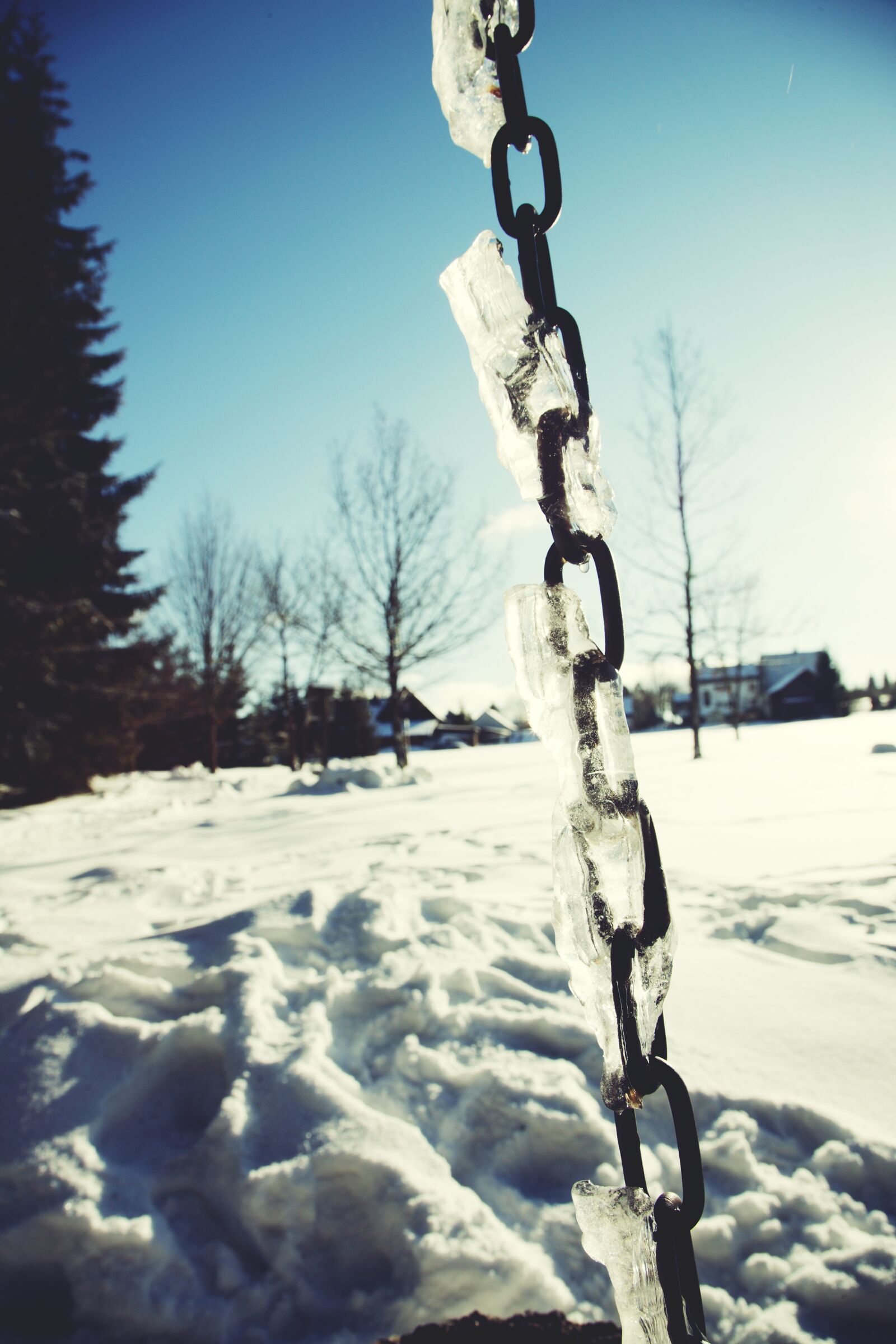 Canon EOS-1Ds Mark III sample photo. Cold, frost, ice photography