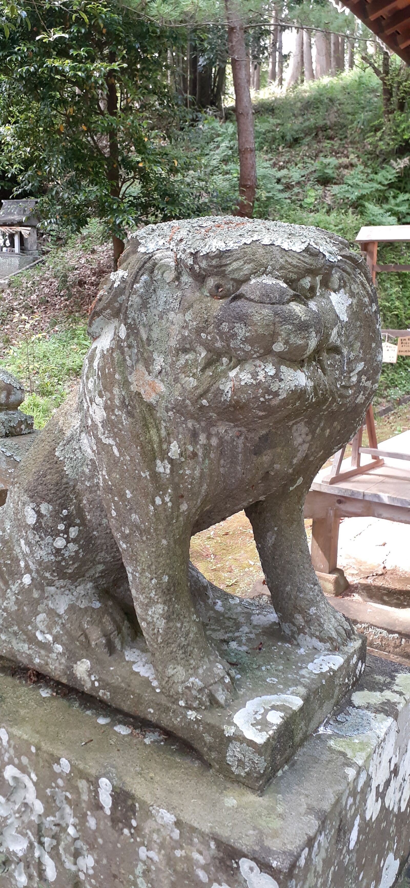 Samsung Galaxy A30 sample photo. Kannami, shrine, japan photography