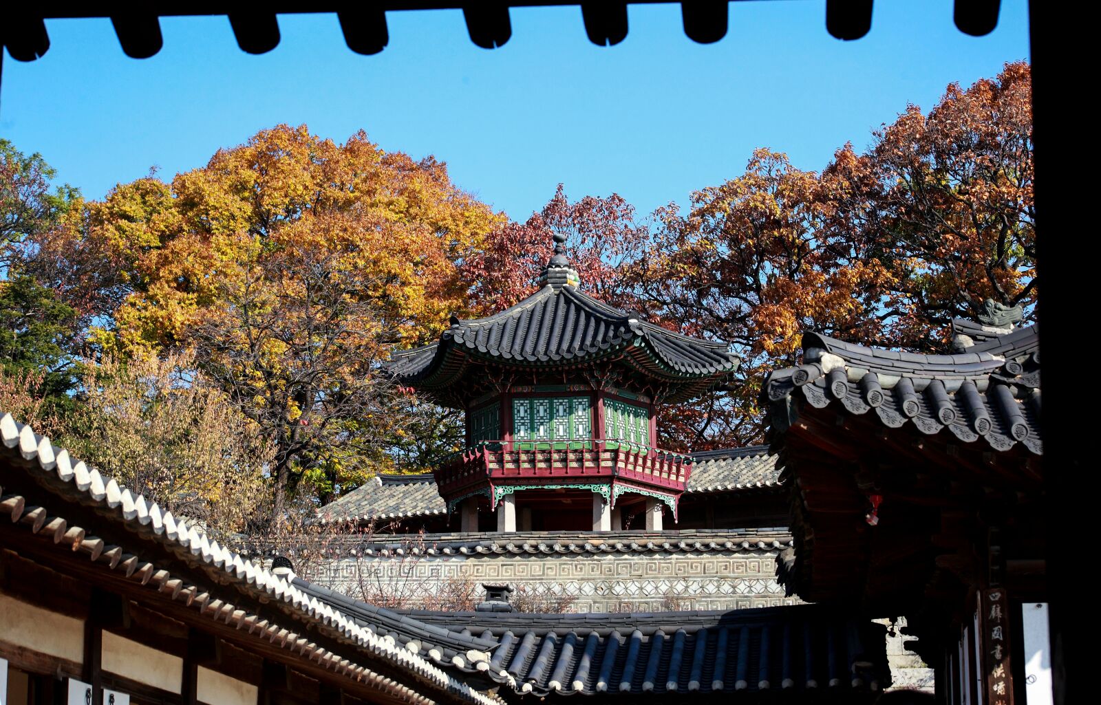 Canon EOS 5D Mark II sample photo. Window view, forbidden city photography