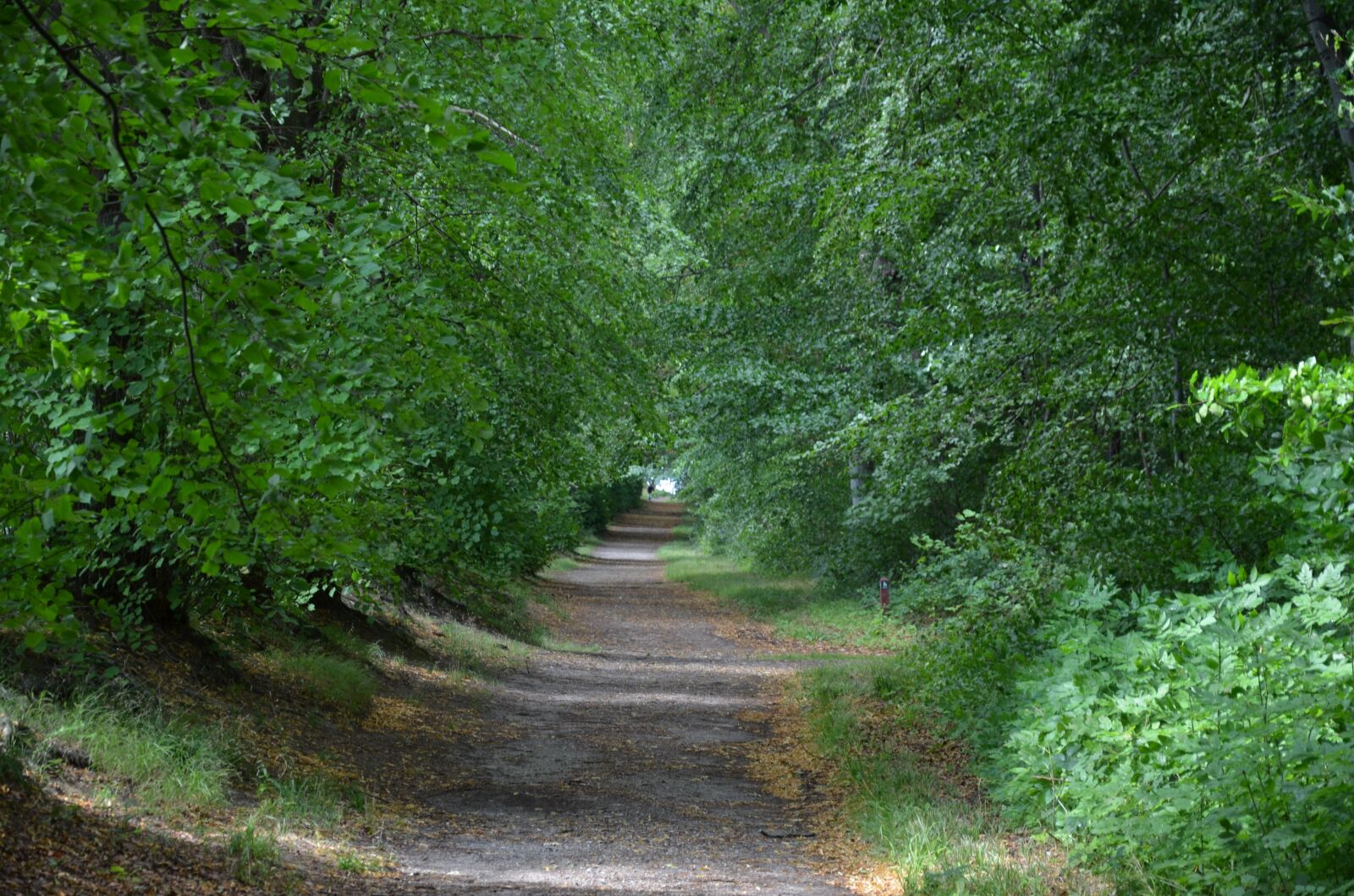 Nikon D5100 sample photo. Away, denmark, nature photography