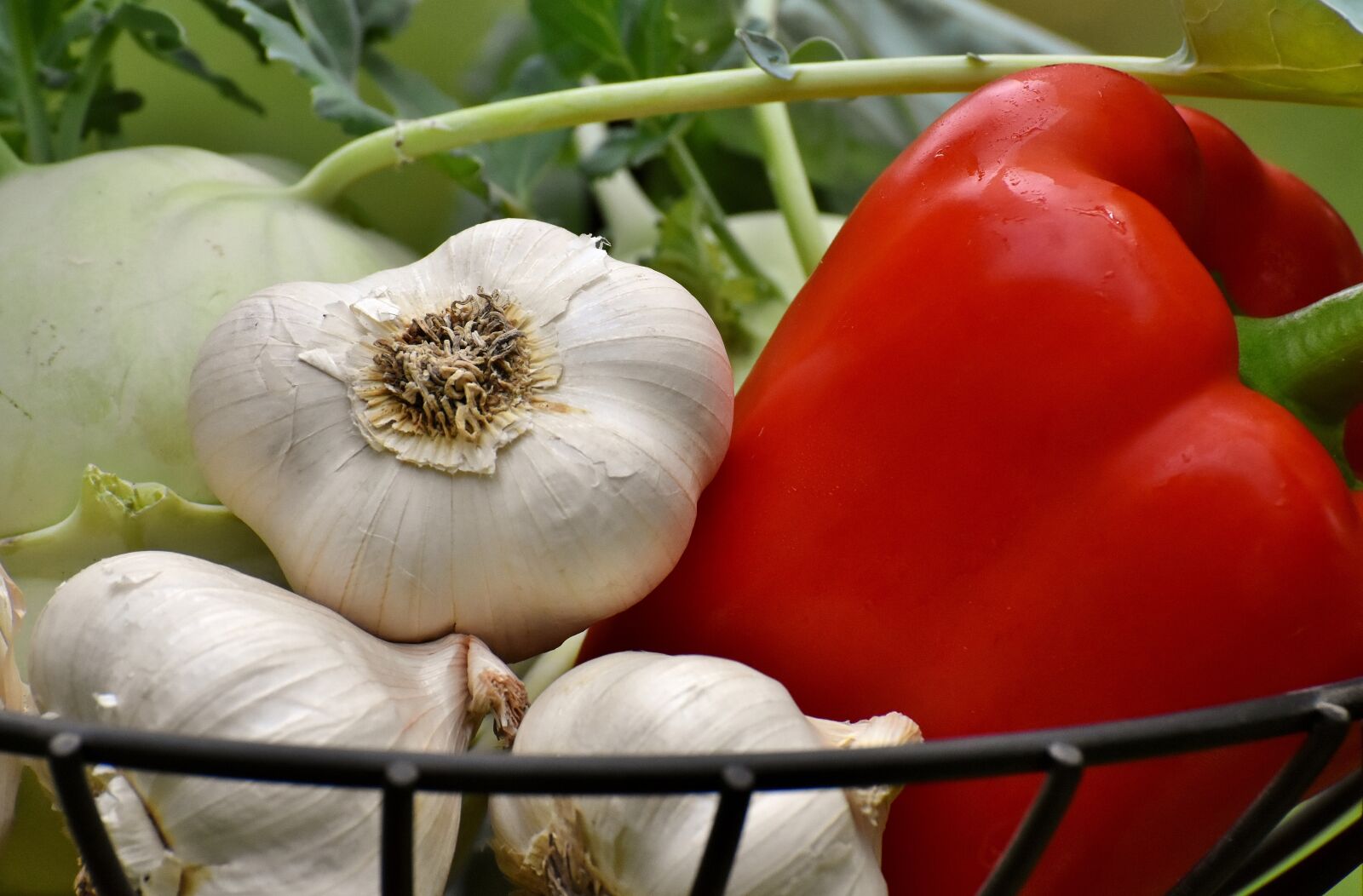Nikon D7200 sample photo. Vegetables, paprika, garlic photography