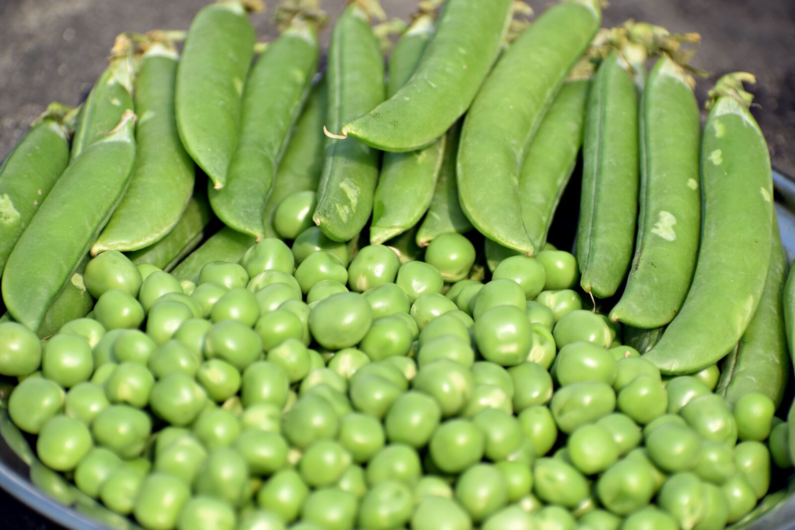 Nikon D3300 sample photo. Peas, green, vegetable photography