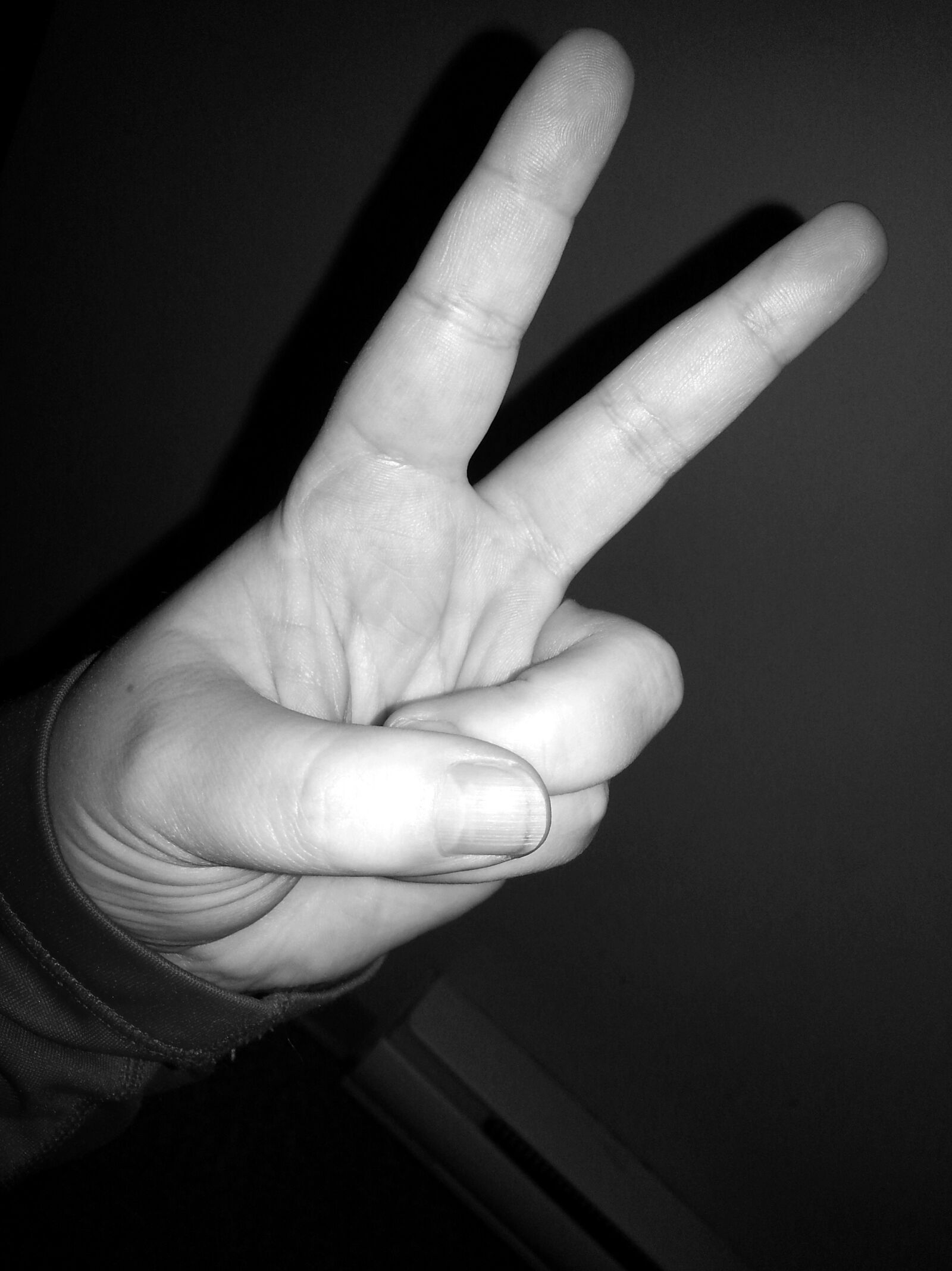 Samsung Galaxy S3 sample photo. Peace, finger sign, sign photography