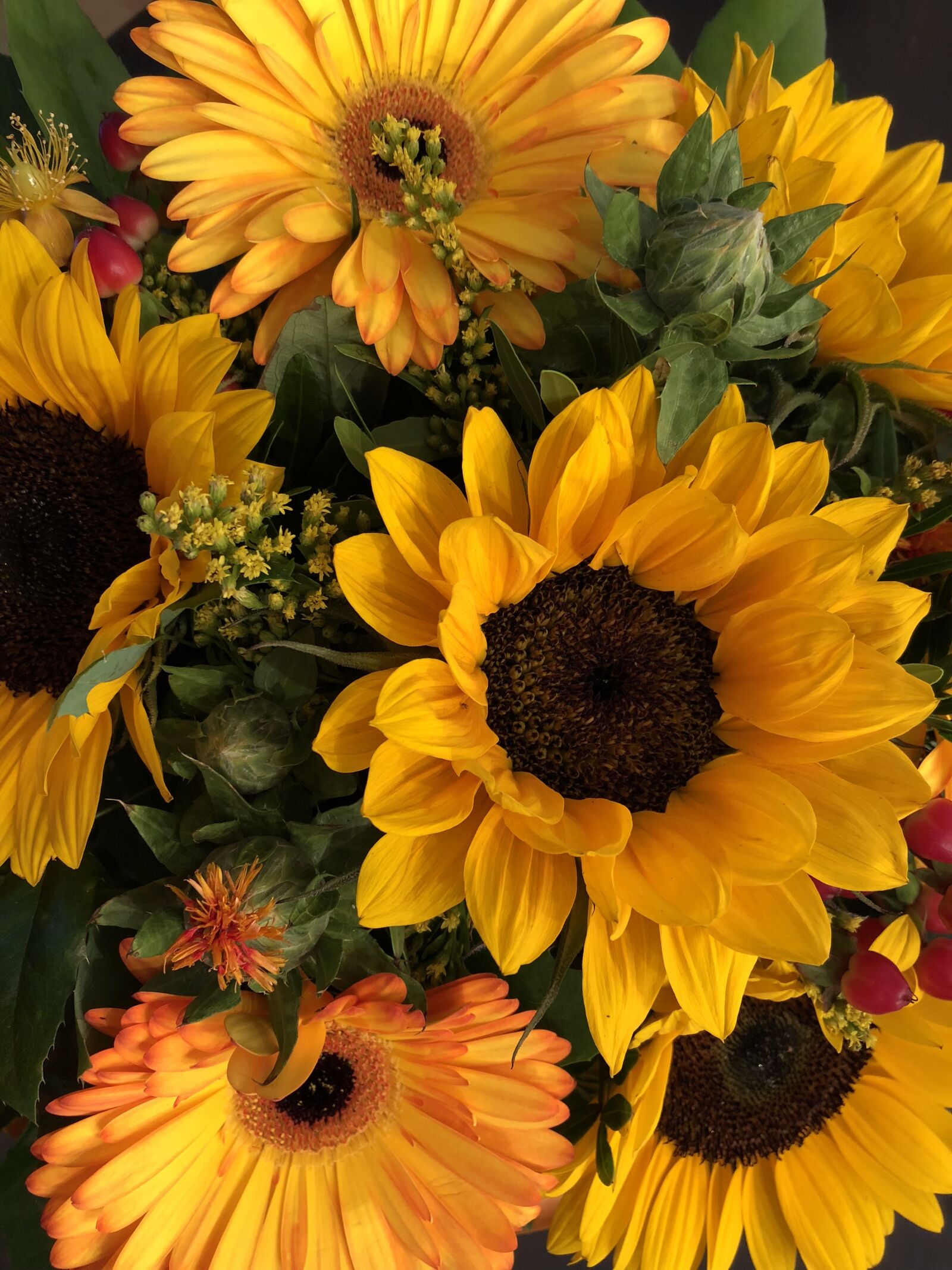 Apple iPhone 8 Plus sample photo. Sunflower, flowers, yellow photography