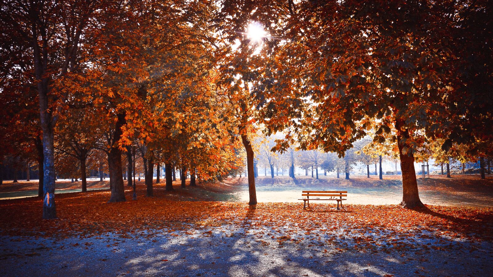 Canon EOS 70D sample photo. Landscape, fall, sun photography