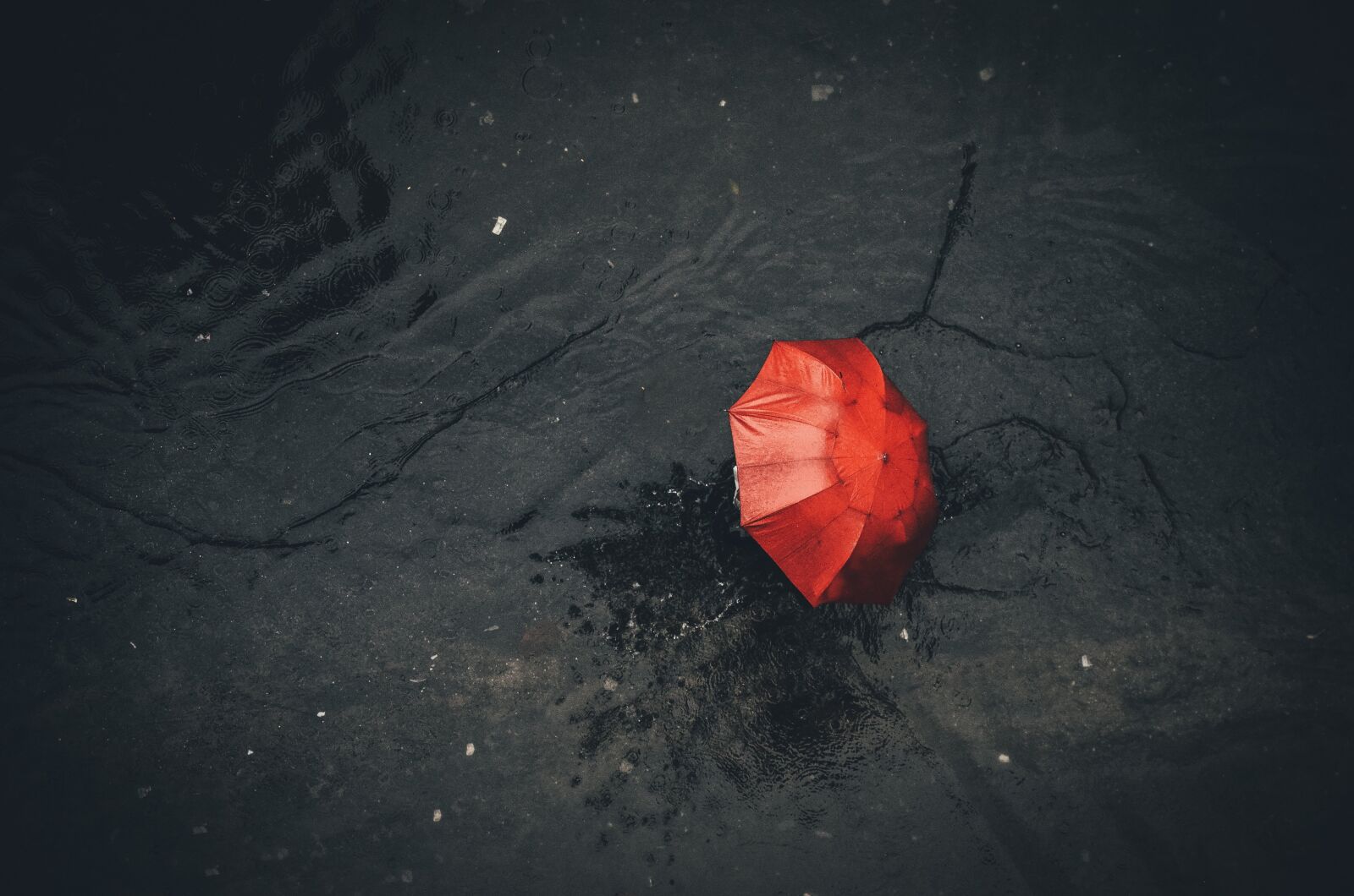 Nikon D5100 sample photo. Rain, umbrella, pavement photography