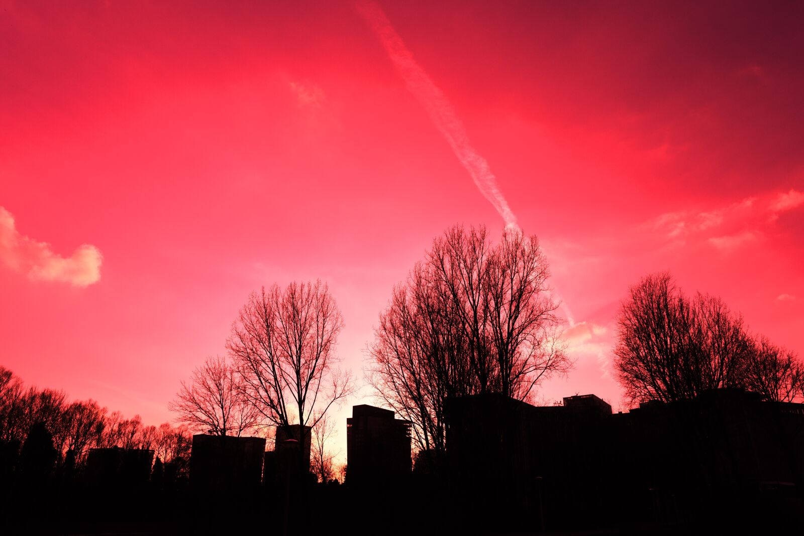 Nikon D750 sample photo. Silhouette, buildings, trees photography