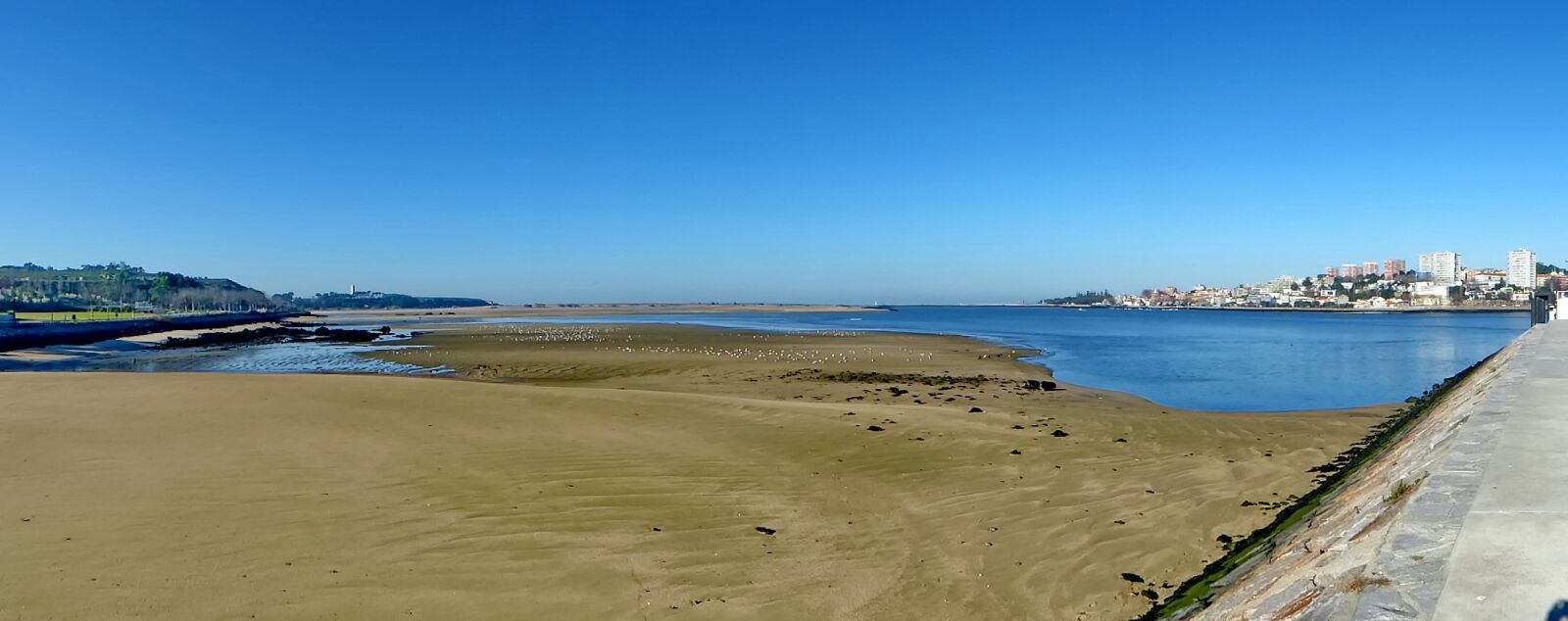 Panasonic Lumix DMC-ZS50 (Lumix DMC-TZ70) sample photo. Portugal, porto, delta photography