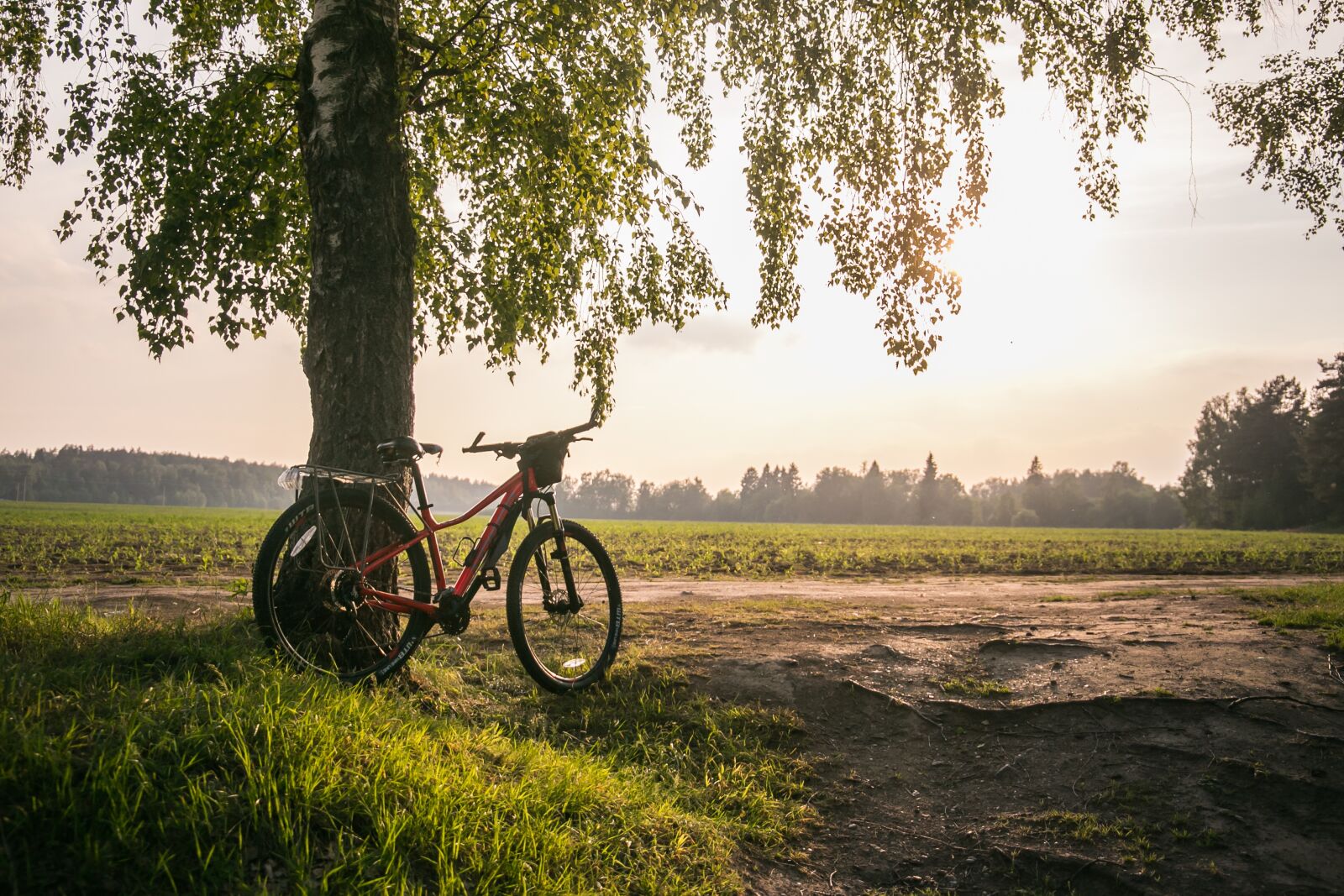 Canon EF 24-105mm F3.5-5.6 IS STM sample photo. Bike, summer, nature photography