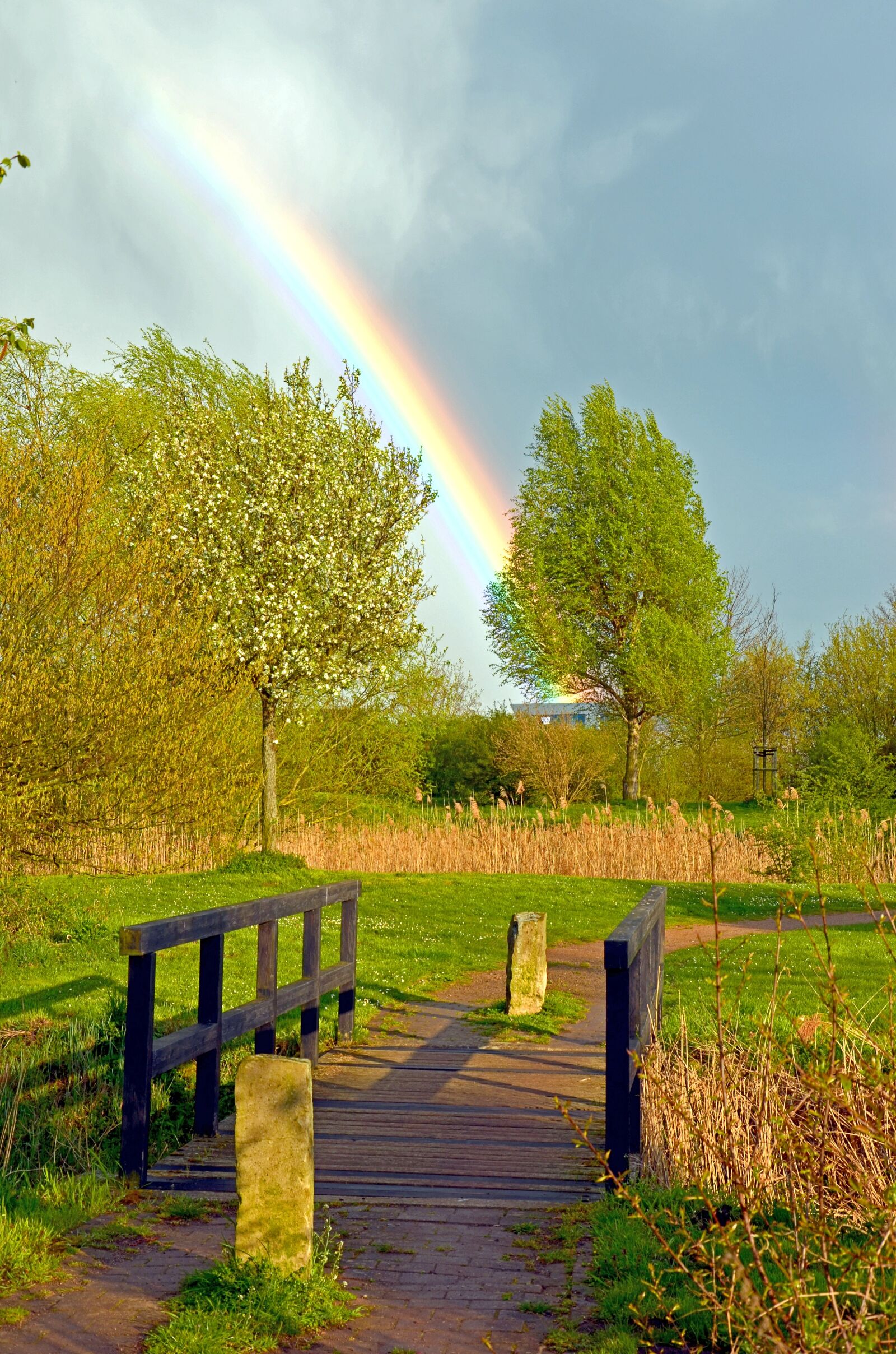Nikon D5100 sample photo. Rainbow, spring, bridge photography