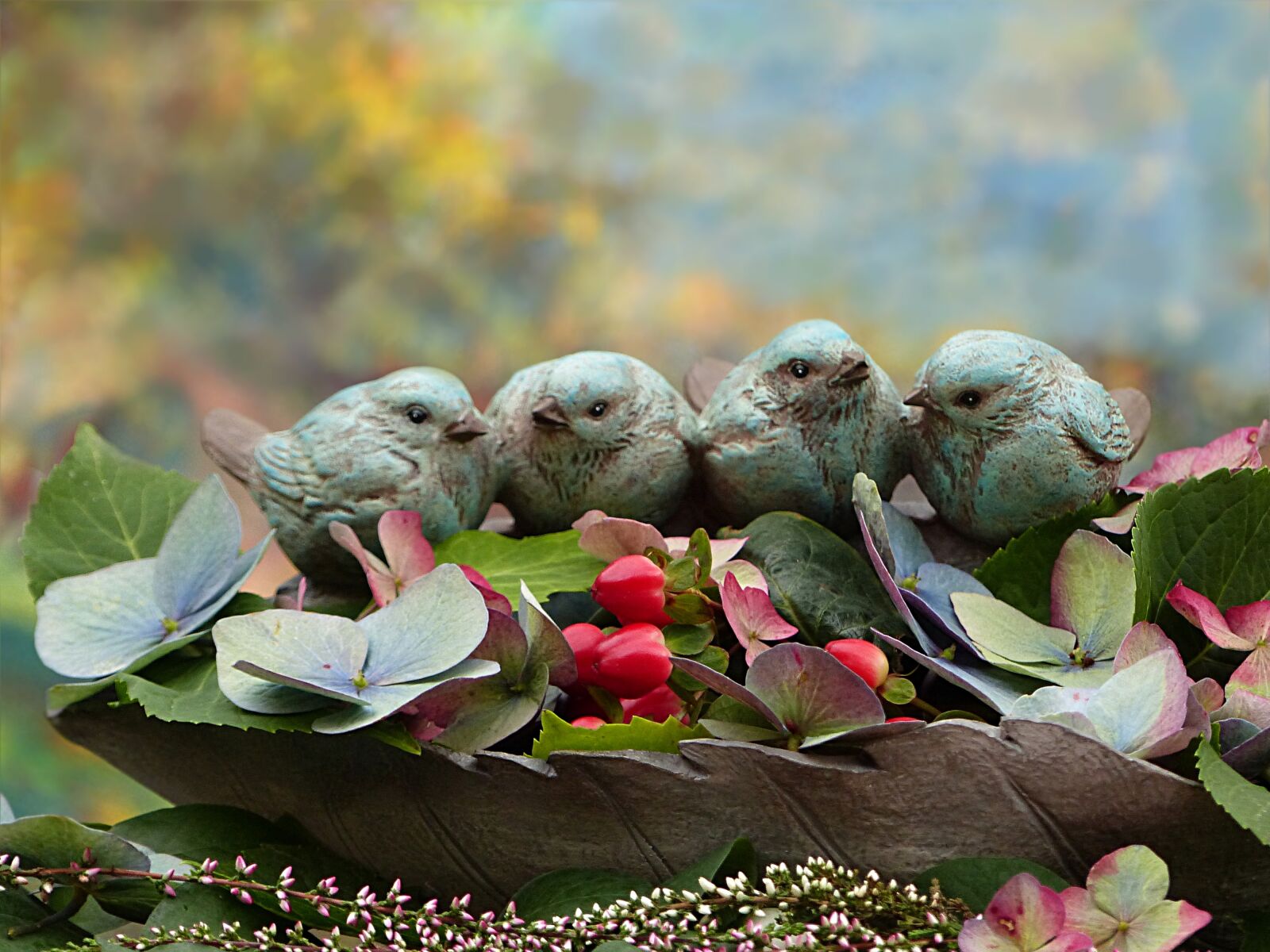 Panasonic Lumix DMC-FZ200 sample photo. Still life, autumn, birds photography