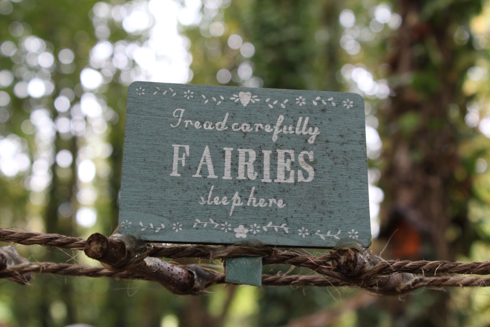 Canon EOS 1200D (EOS Rebel T5 / EOS Kiss X70 / EOS Hi) sample photo. Sign, fairies, words photography
