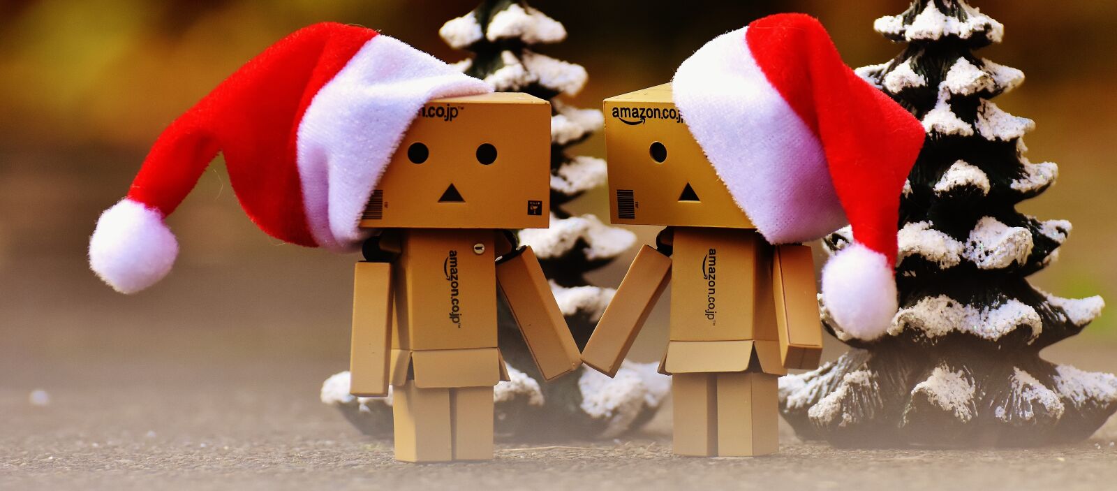 Nikon D7200 sample photo. Danbo, christmas, figure photography