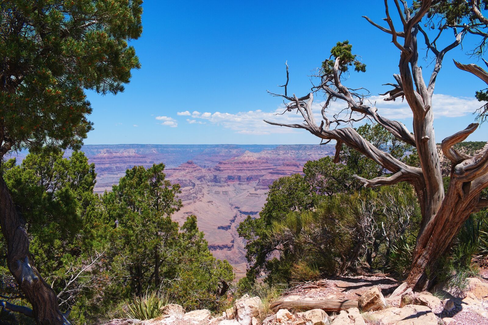 Nikon D5300 sample photo. Grand canyon, landscape, mountains photography