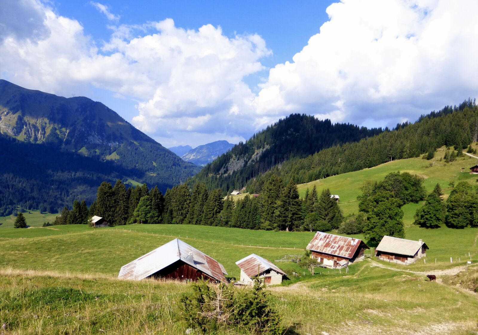 Panasonic Lumix DMC-ZS25 (Lumix DMC-TZ35) sample photo. Nature, france, alps photography