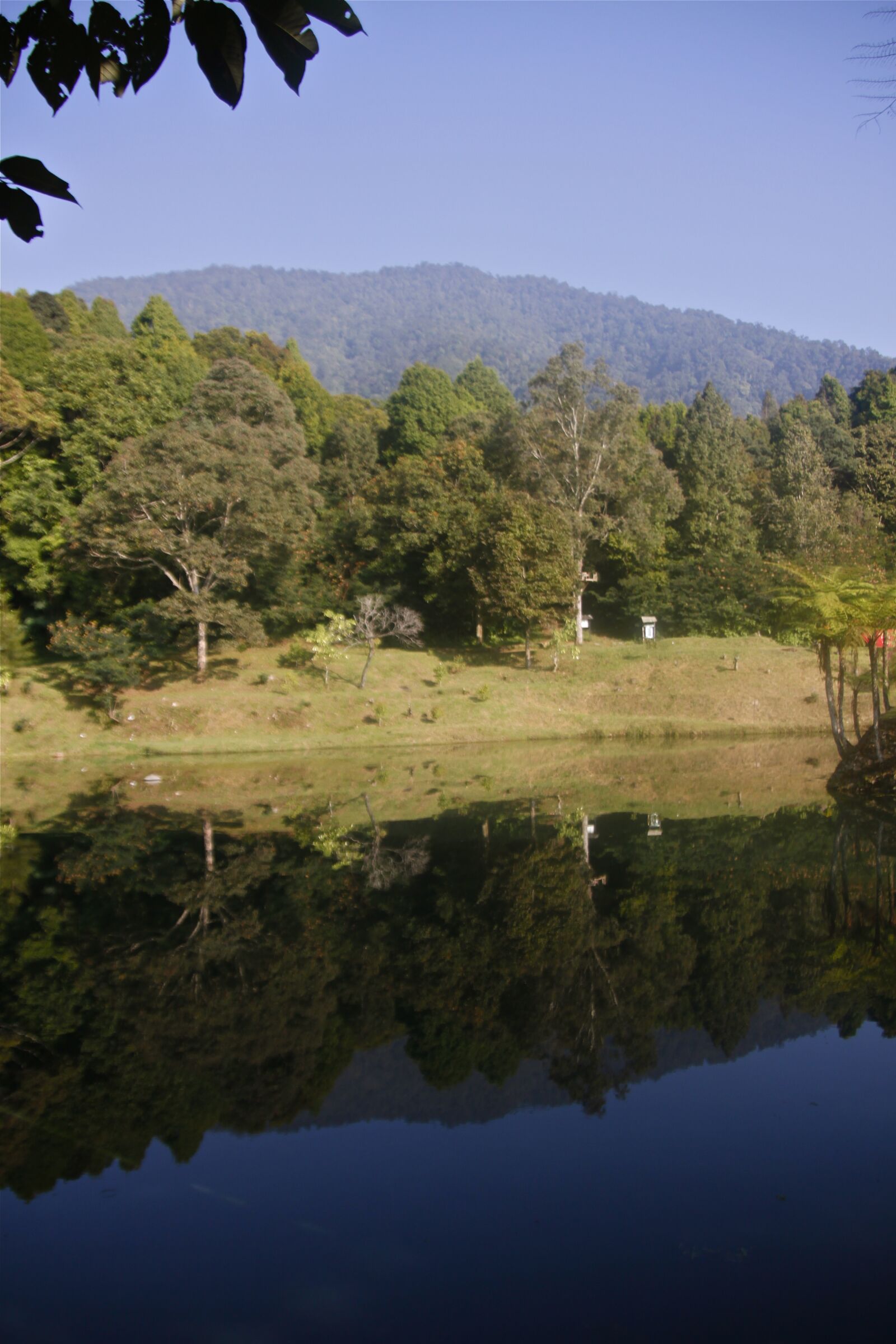 Canon EOS 500D (EOS Rebel T1i / EOS Kiss X3) sample photo. Lake, mountain, nature photography
