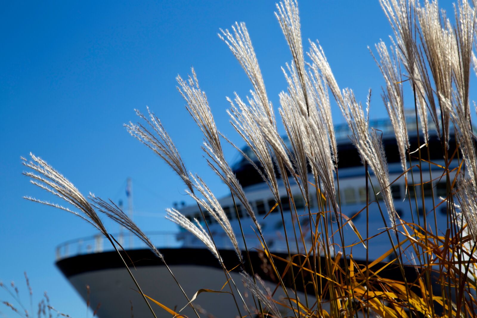Canon EOS 6D + Canon EF 24-105mm F4L IS USM sample photo. Boat, water's edge, cruise photography