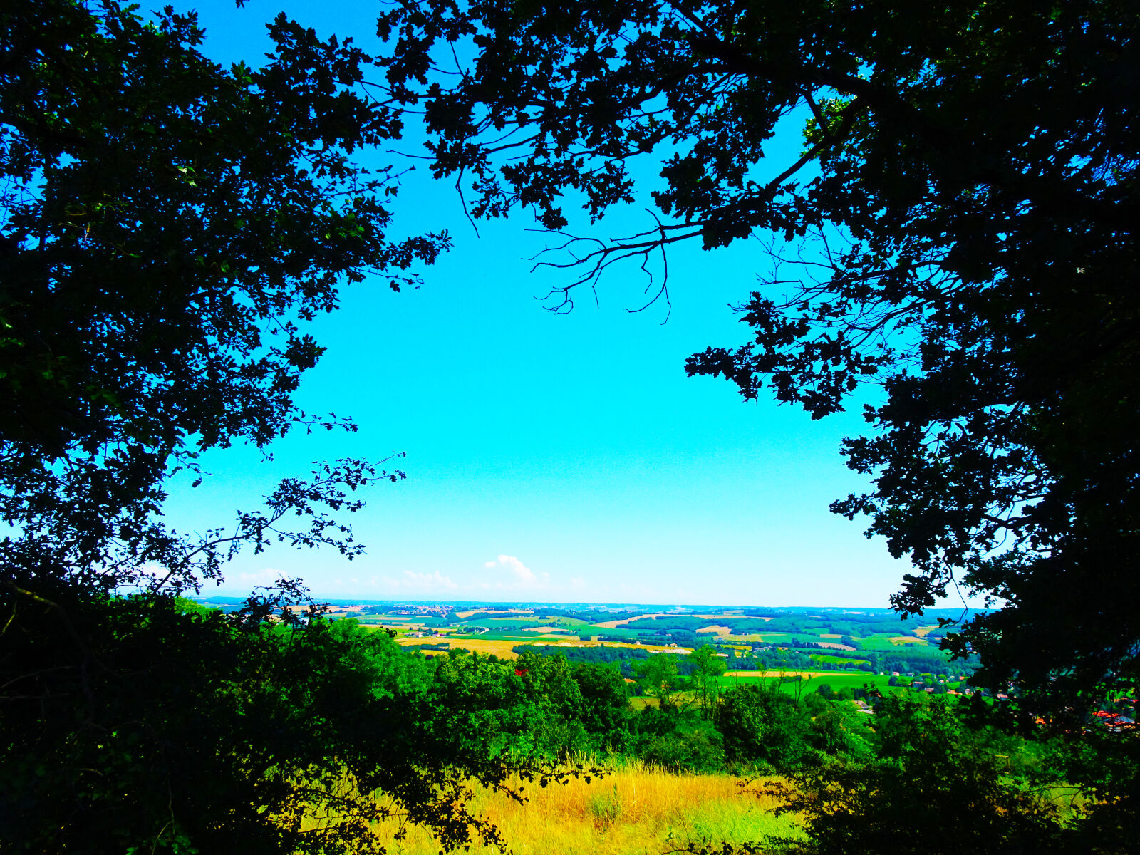 Sony Cyber-shot DSC-HX90V sample photo. Landscape, nature photography