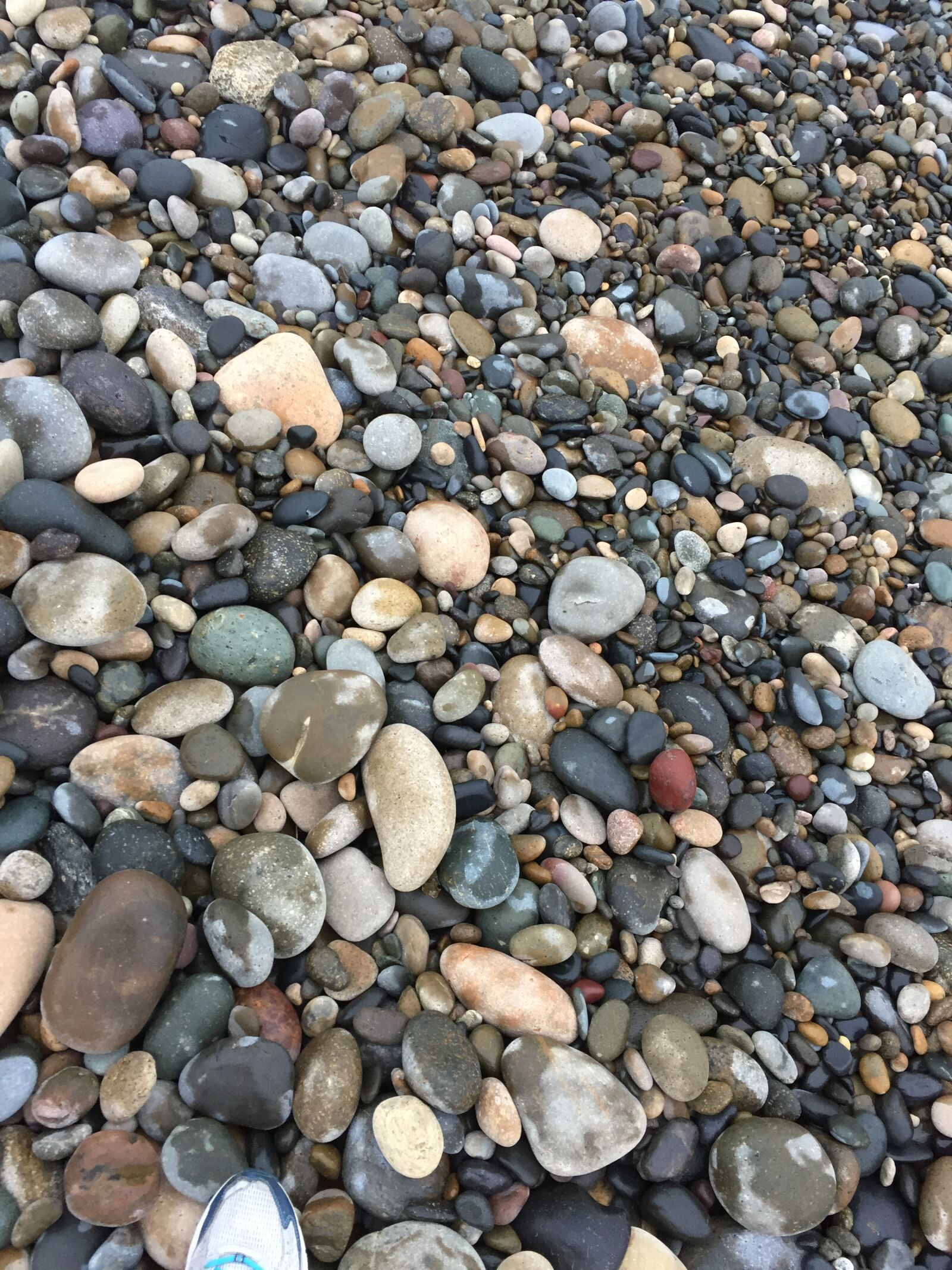 Apple iPhone 6 sample photo. Beach, pebbles, rocks, shore photography