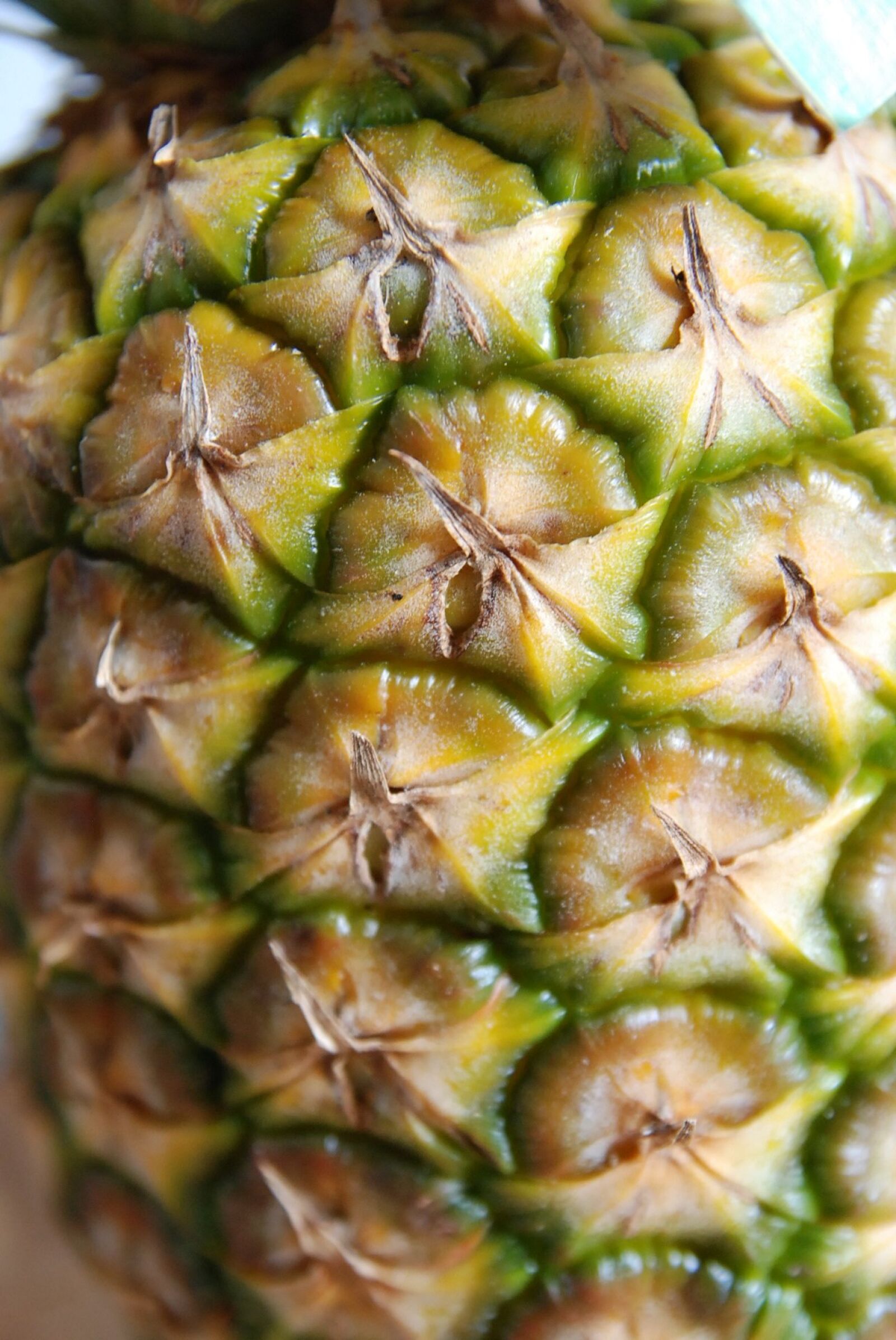 Nikon D80 sample photo. Close up, pineapple, macro photography