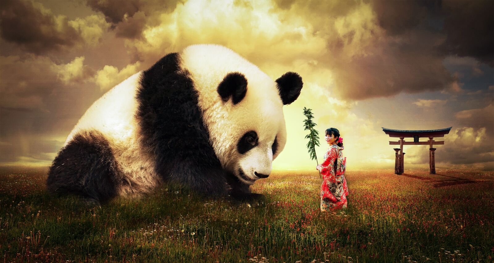 Canon EOS 5D Mark III sample photo. Panda, bear, japan photography