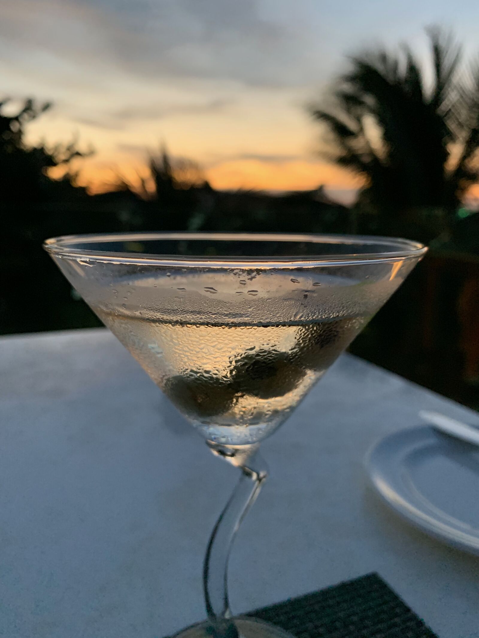 Apple iPhone XS sample photo. Martini, cocktails, cocktail photography