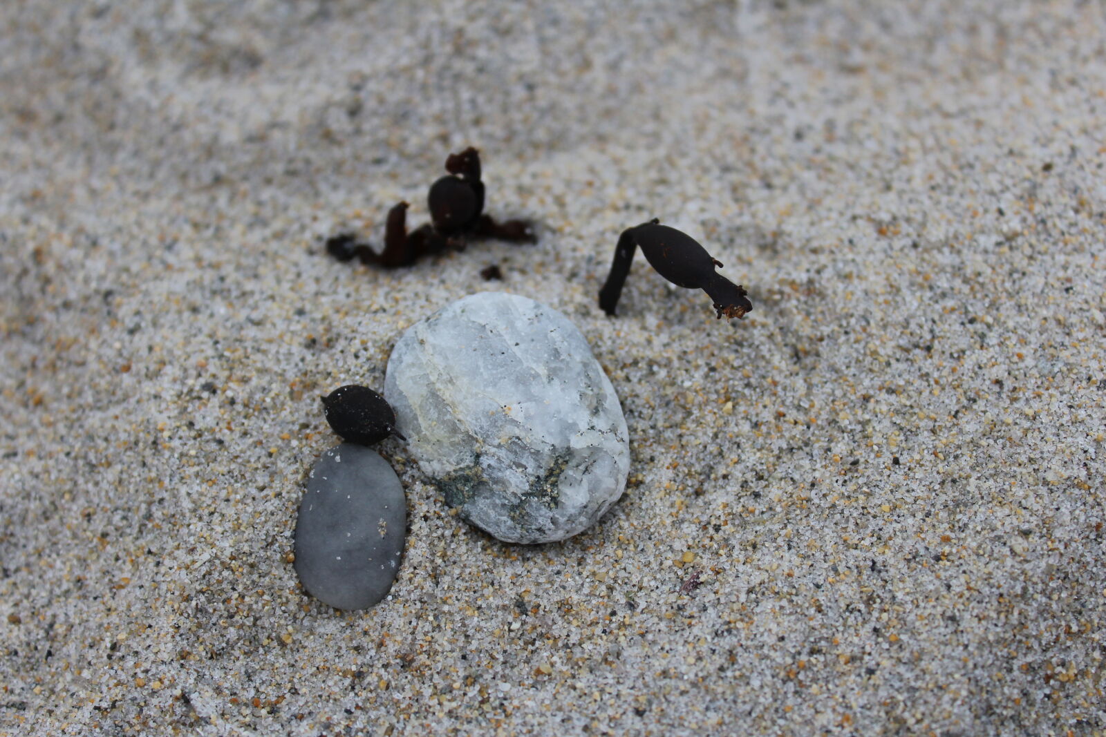 Canon EOS 1200D (EOS Rebel T5 / EOS Kiss X70 / EOS Hi) sample photo. Beach, rocks photography