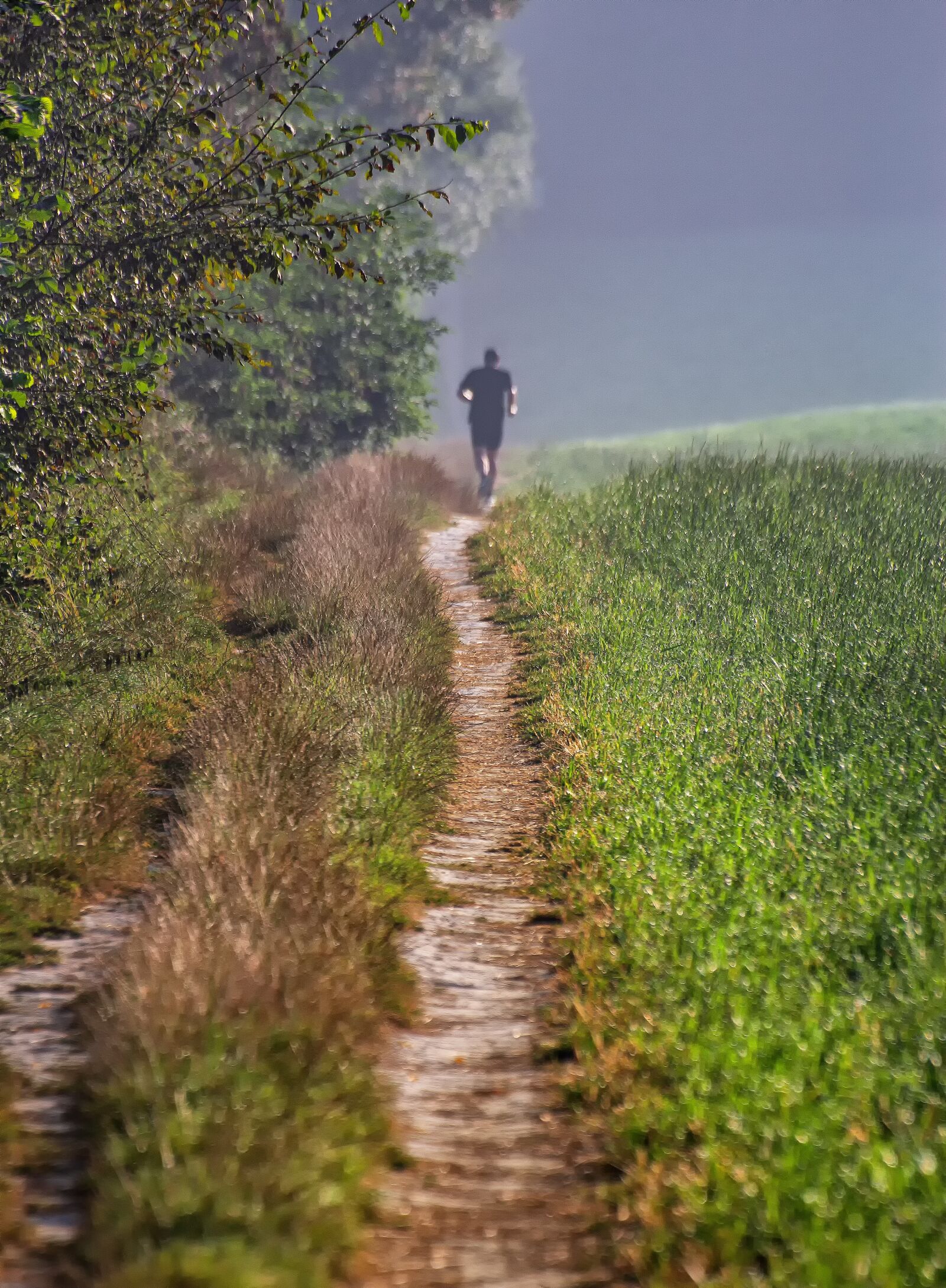 Canon EOS 60D sample photo. Jog, run, sport photography