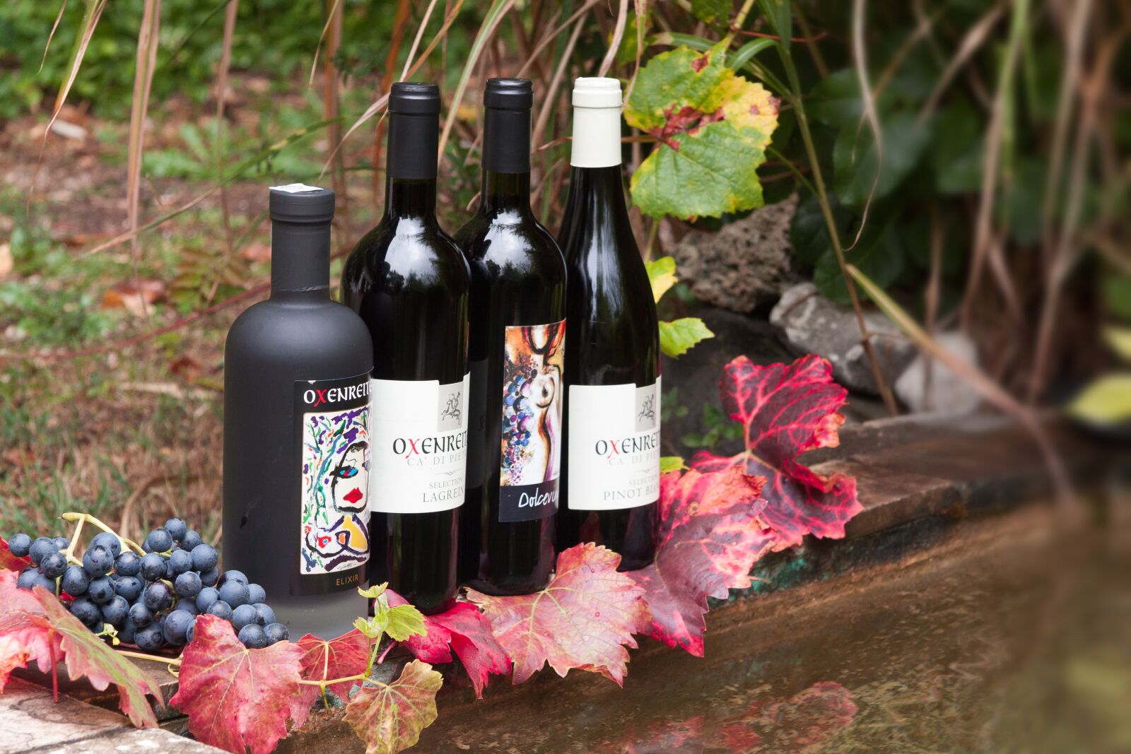 Canon EF-S 17-85mm F4-5.6 IS USM sample photo. Wine, bottle, label photography