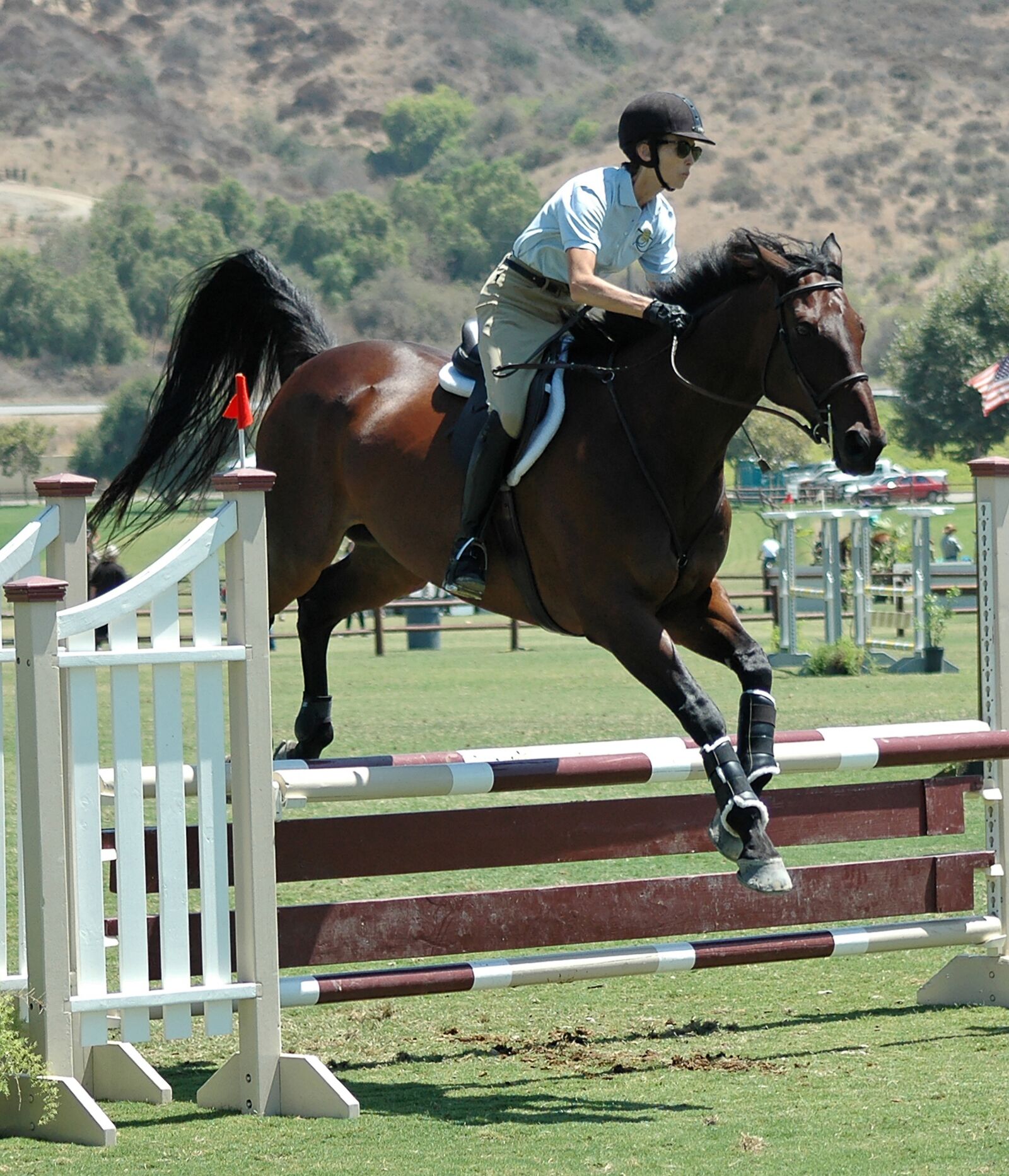 Nikon D70s sample photo. Horse, horses, horseback photography
