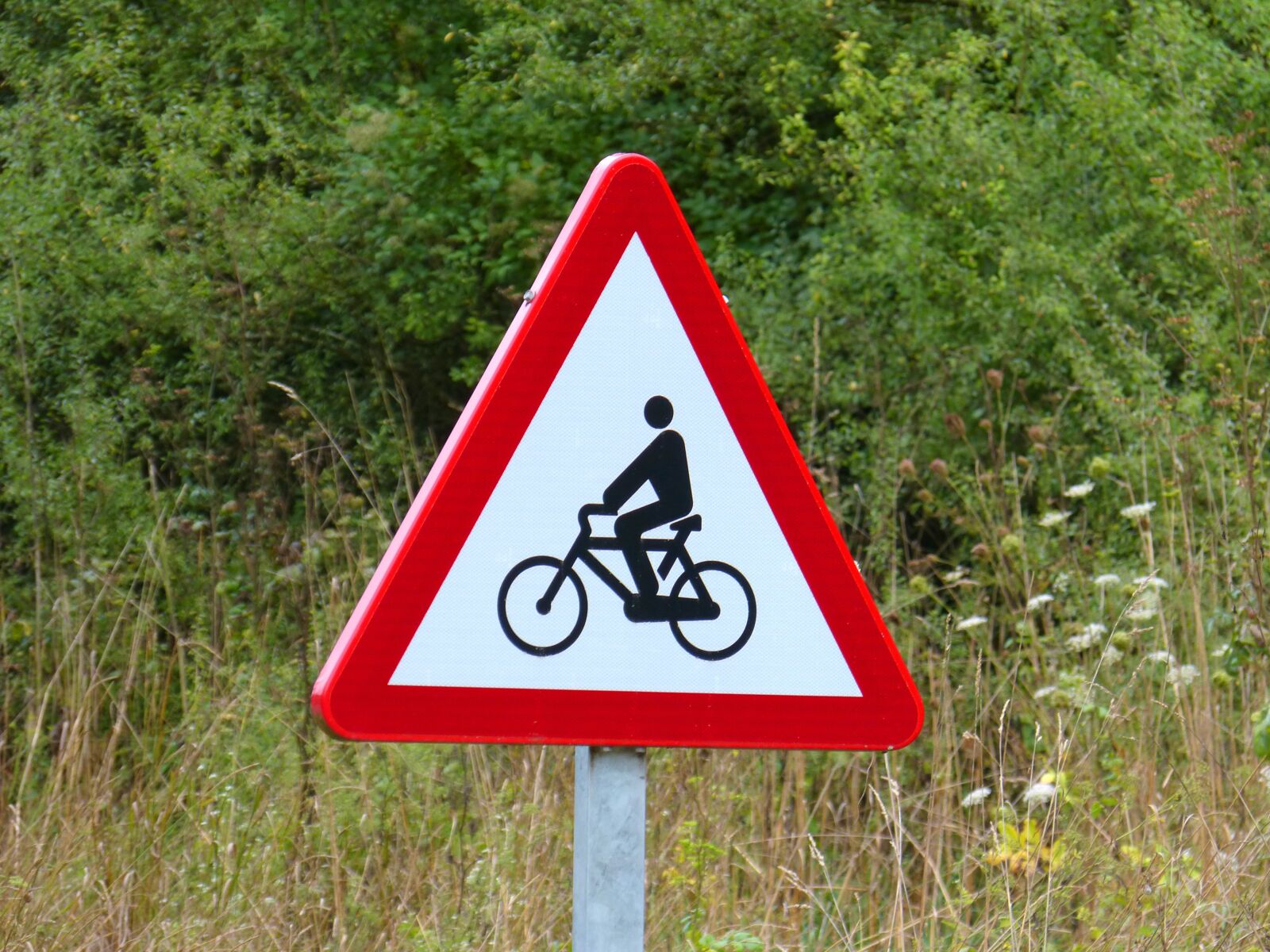 Panasonic DMC-FZ62 sample photo. Cyclist, signal, cycling photography